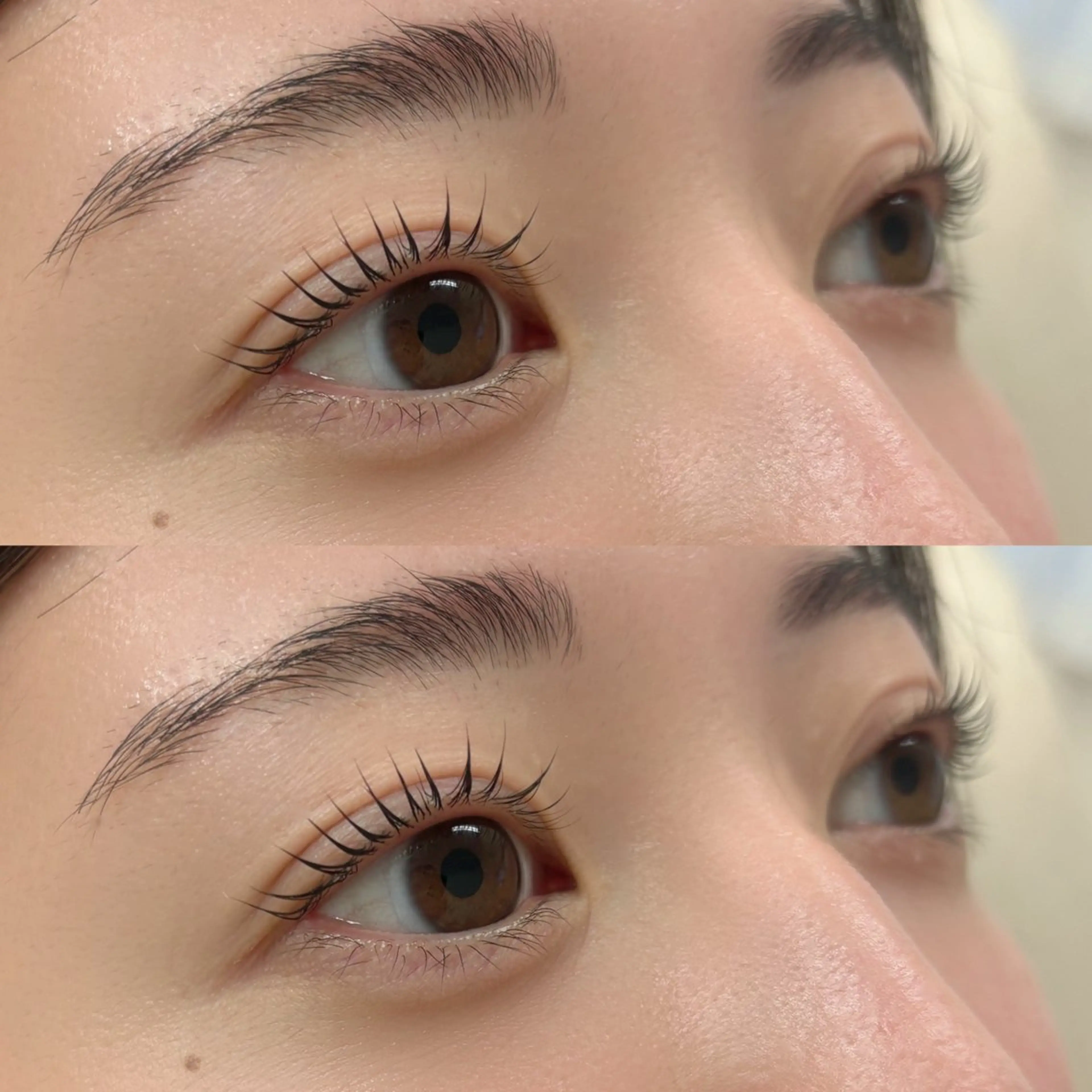 4/13限定《ご新規様限定》デザイン選べる♡トリートメントラッシュカールorパリジェンヌの写真