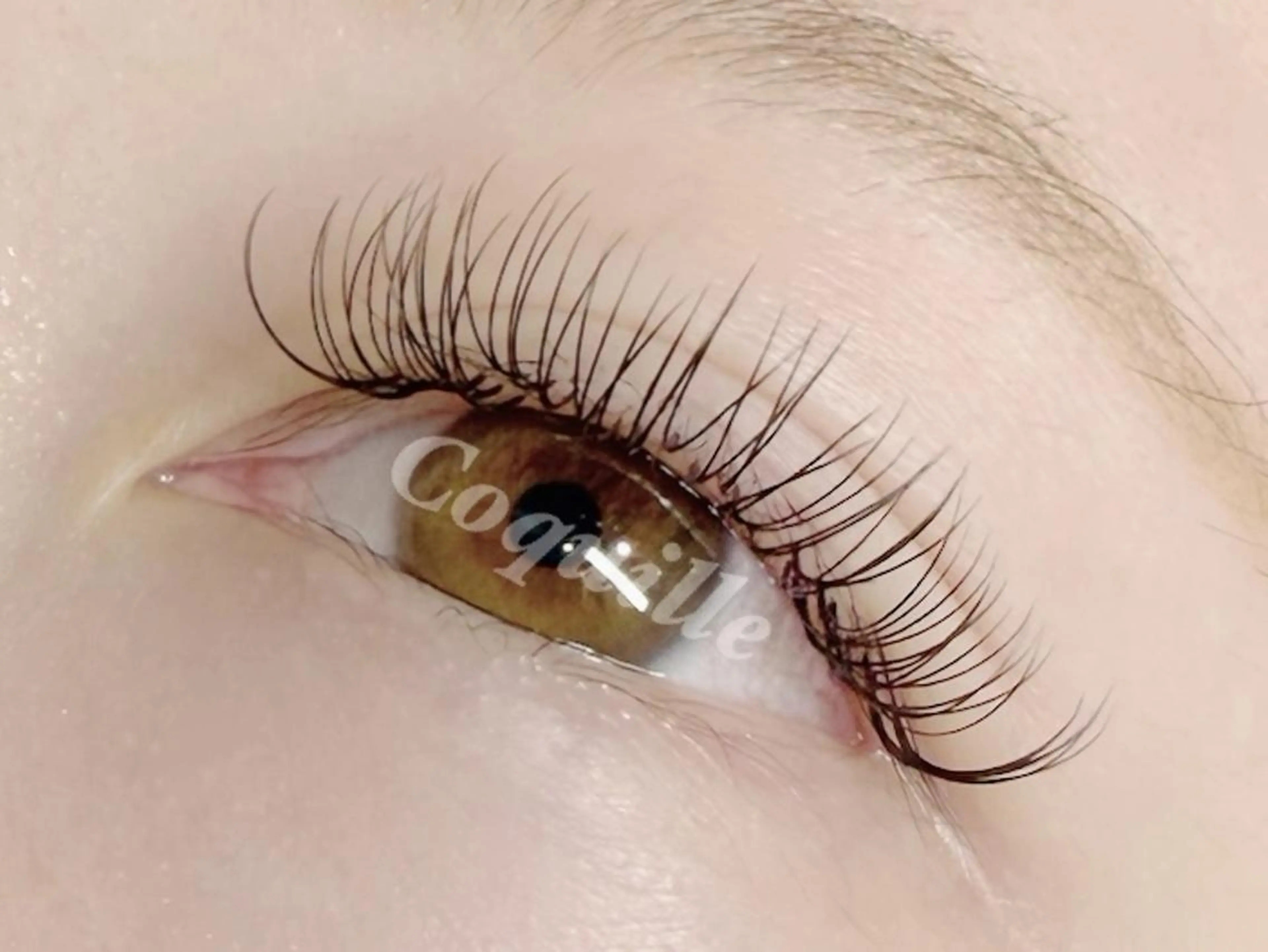 マツエク・マツパ Coquille 上野 御徒町店のマツエク・マツパデザイン