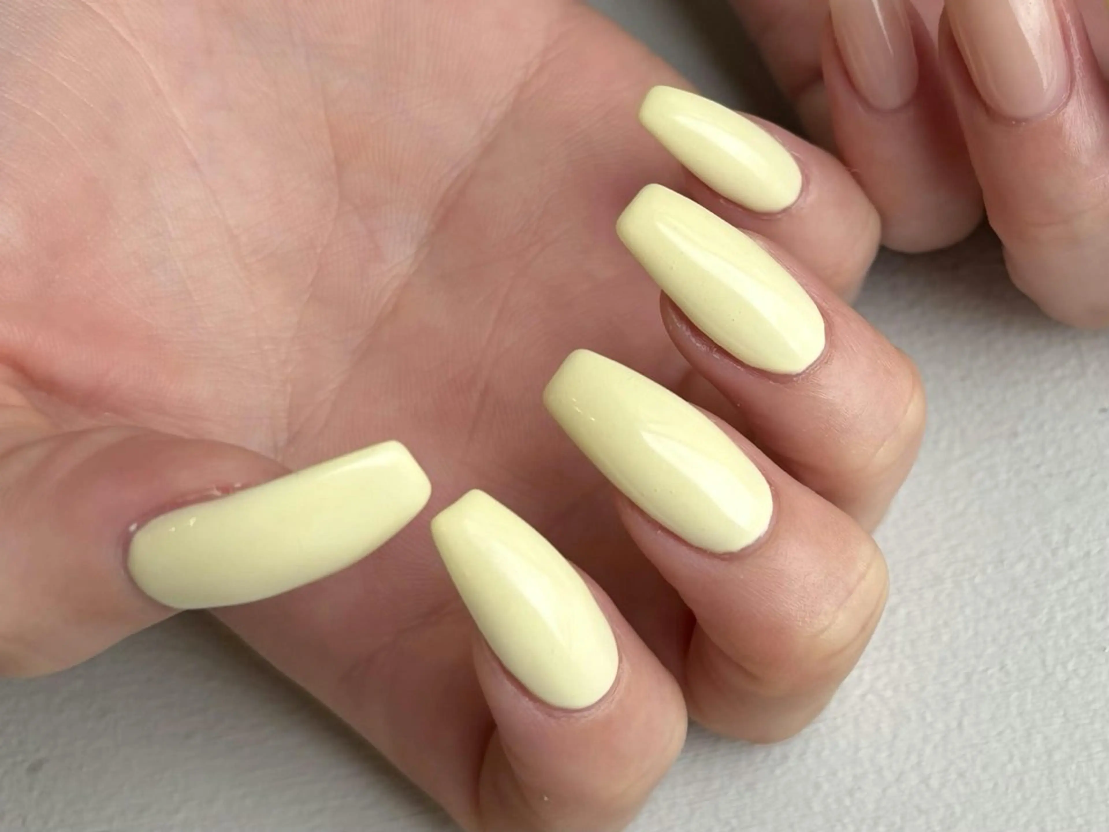 15.16日限定無料モデル募集中💫【ハンド】オフなしワンカラー🎀✨  (90分)￥0の写真