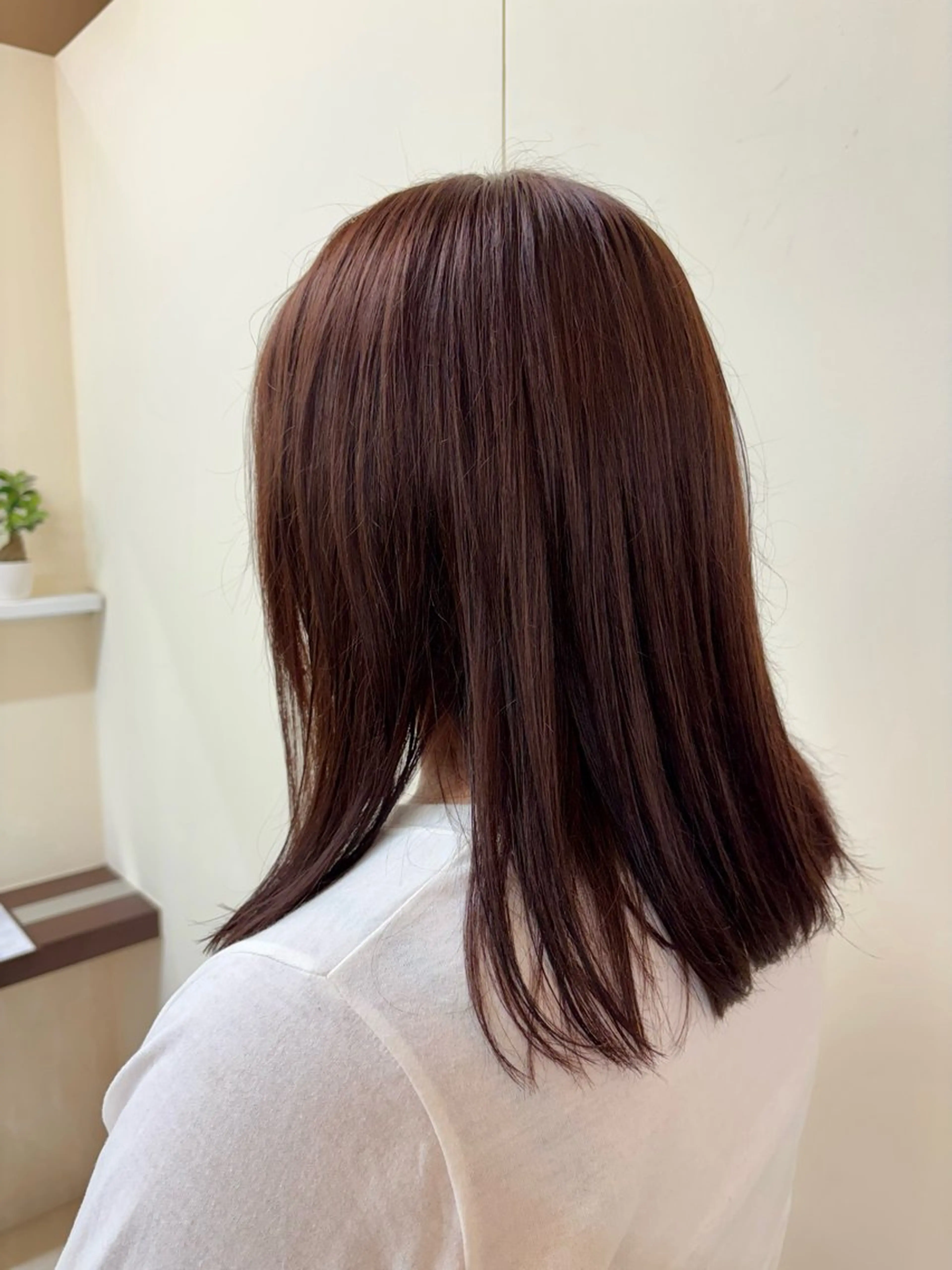 カラー カラーモデル募集中/ 大川 結良のヘアスタイル