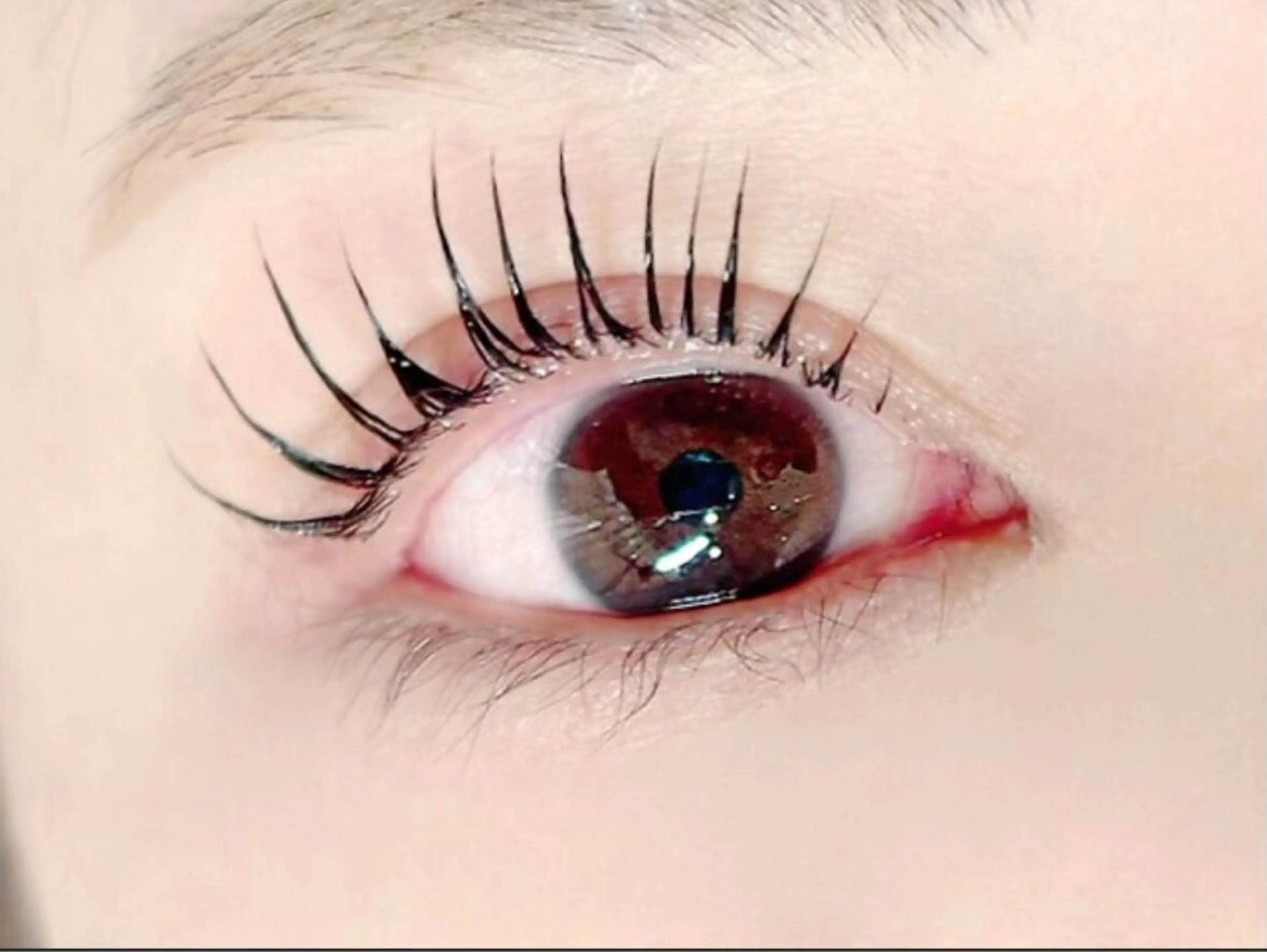 まつげパーマの写真