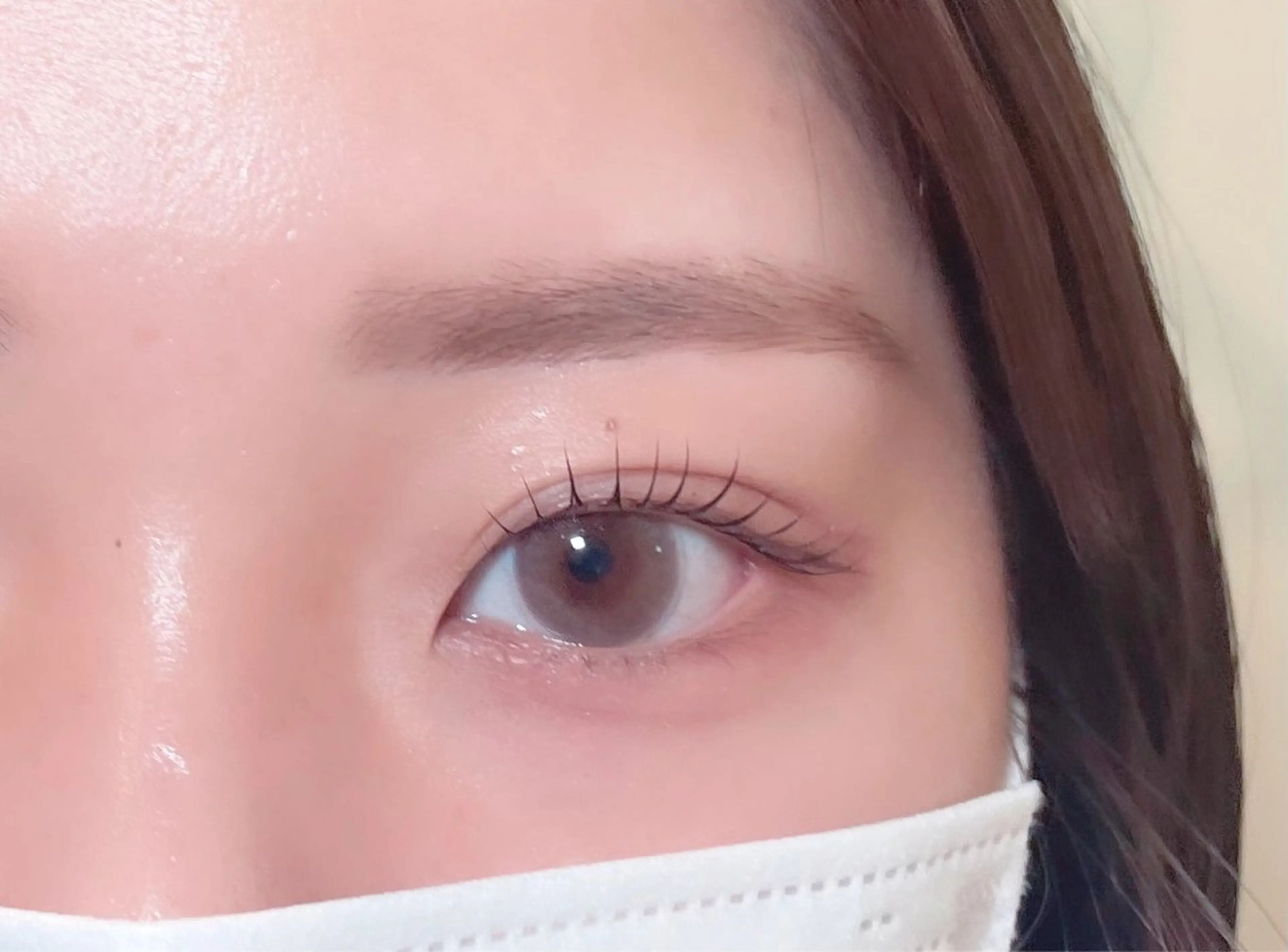 【🪸minimo特別価格🪸】ラッシュリフト(上)+美眉デザインwaxの写真