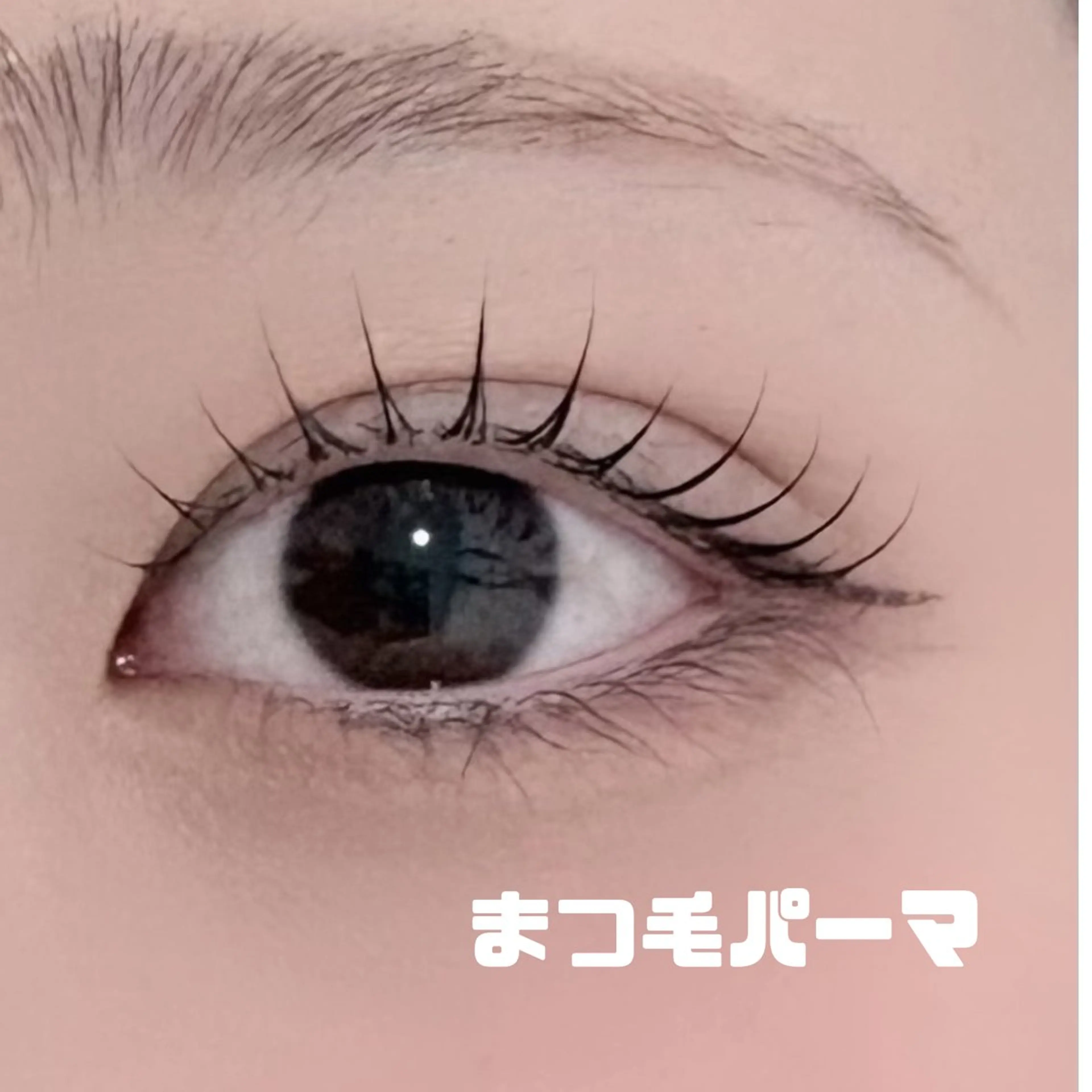 ⚠️４/5日限定‼️ 上まつ毛パーマ⭐️アイシャンプー付きの写真