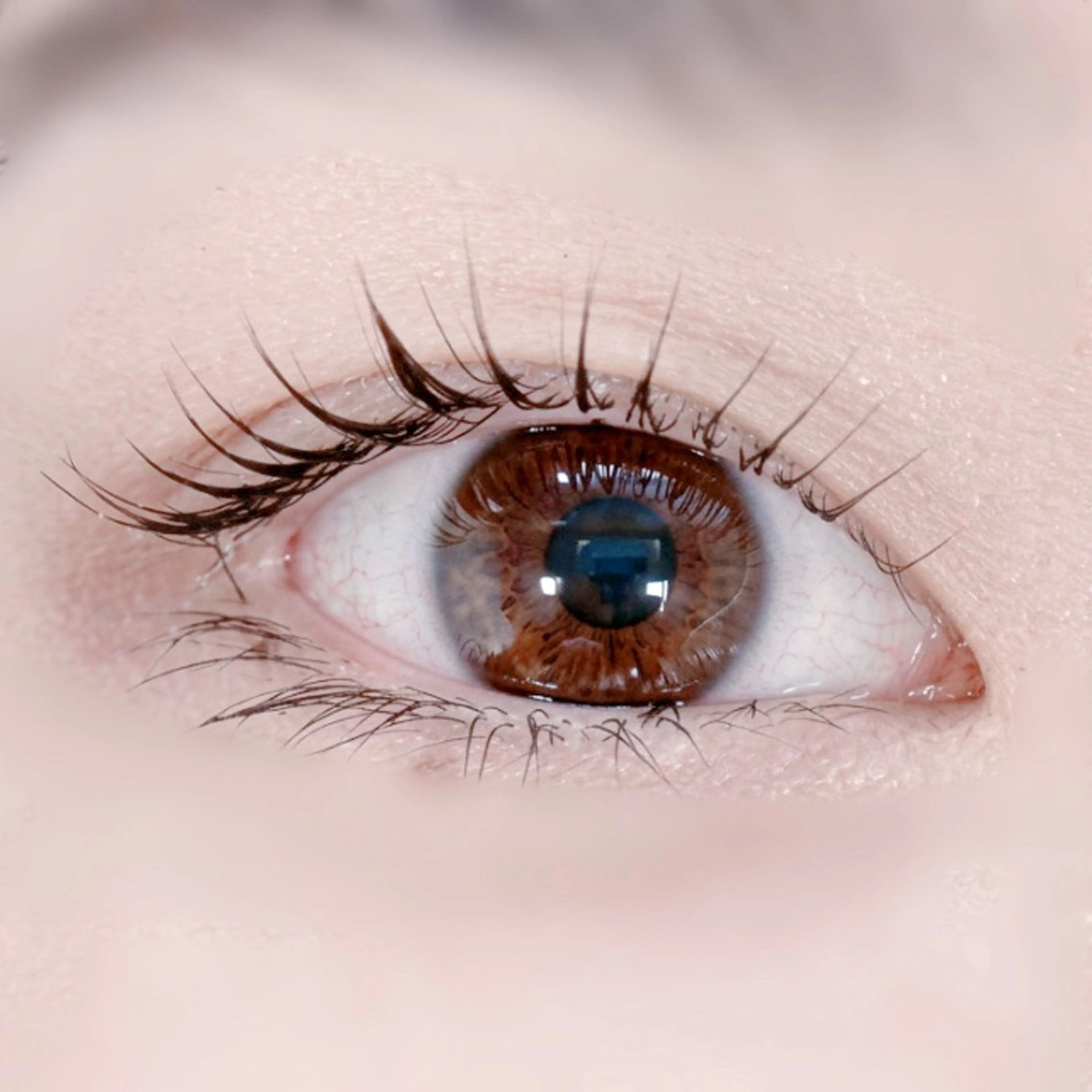 マツエク・マツパ caws所属・caws 甲東園 鎌田のマツエク・マツパデザイン