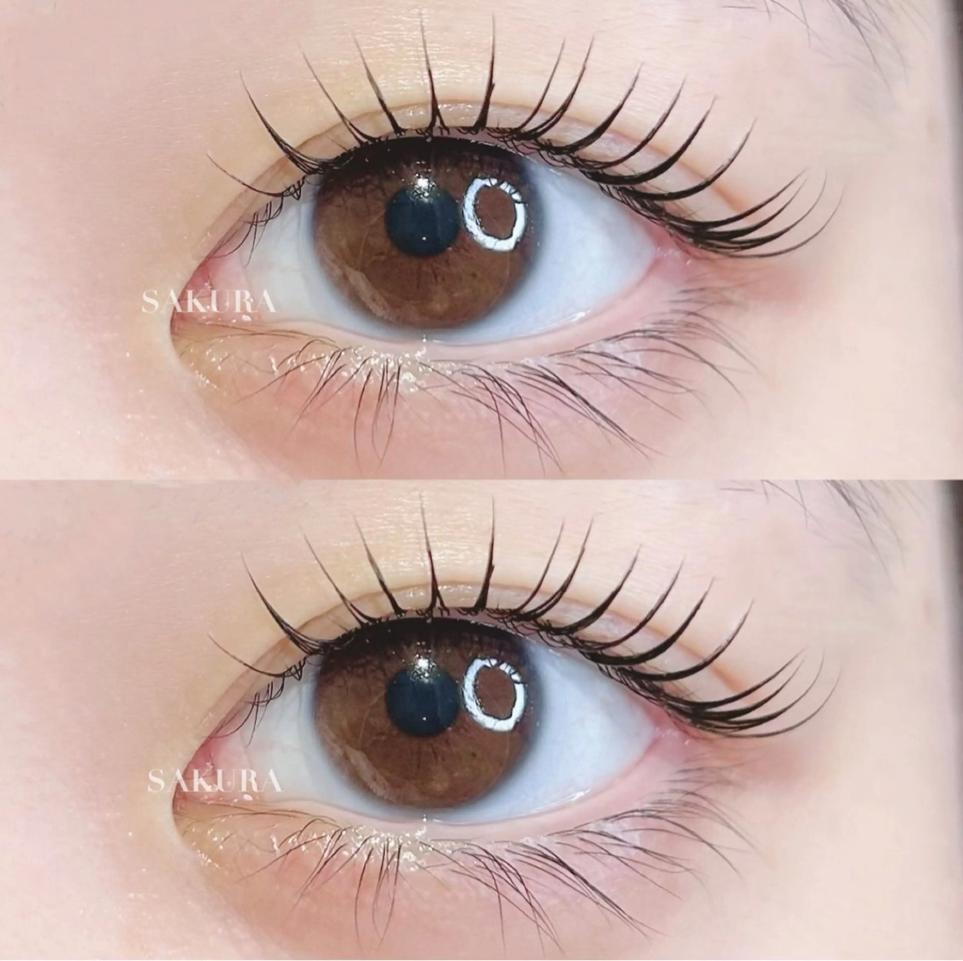 マツエク・マツパ 一重×まつ毛パーマ 似合わせまつ毛🫧 さくら🌸のマツエク・マツパデザイン