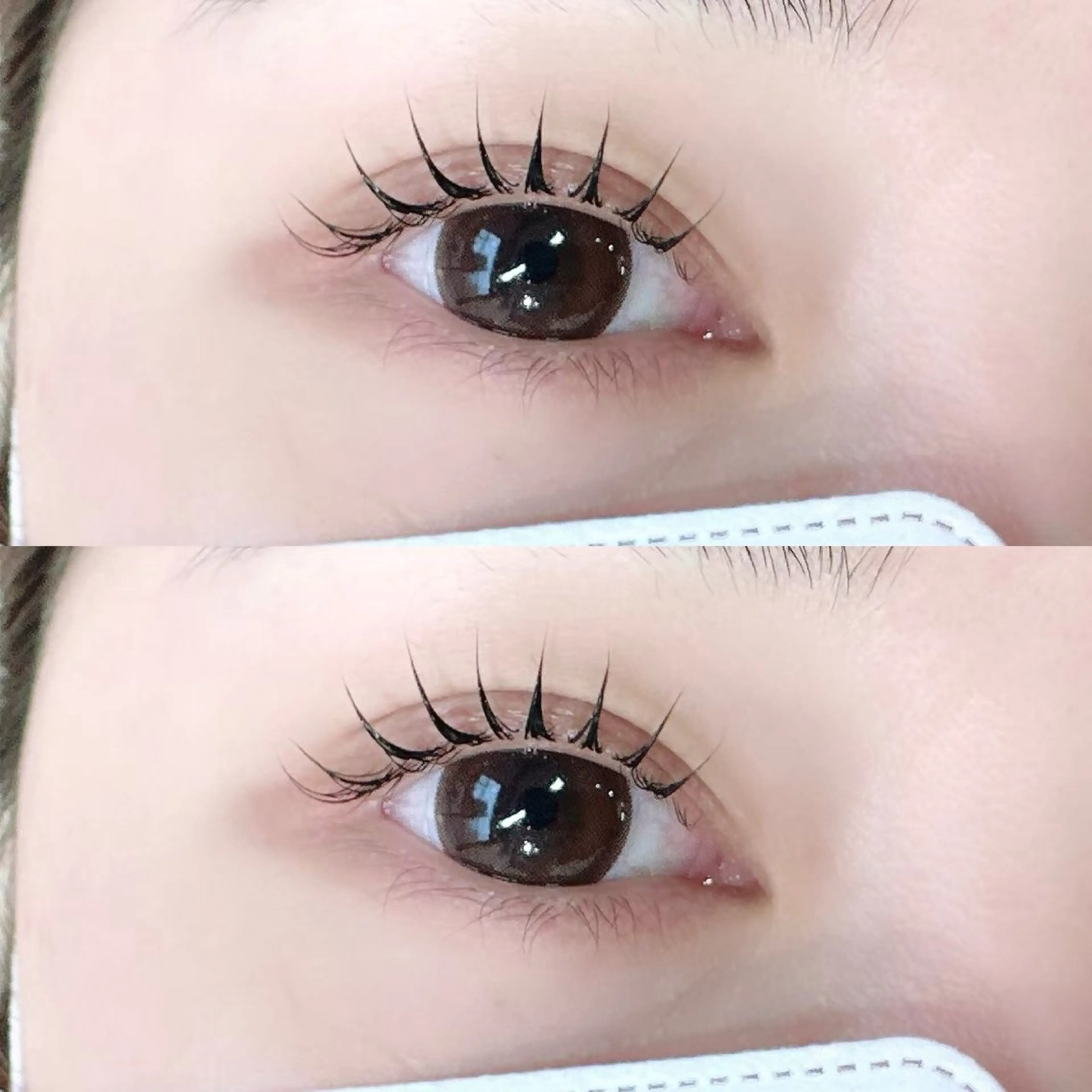 マツエク・マツパ shucre栄店 🦋RUKA🦋のマツエク・マツパデザイン