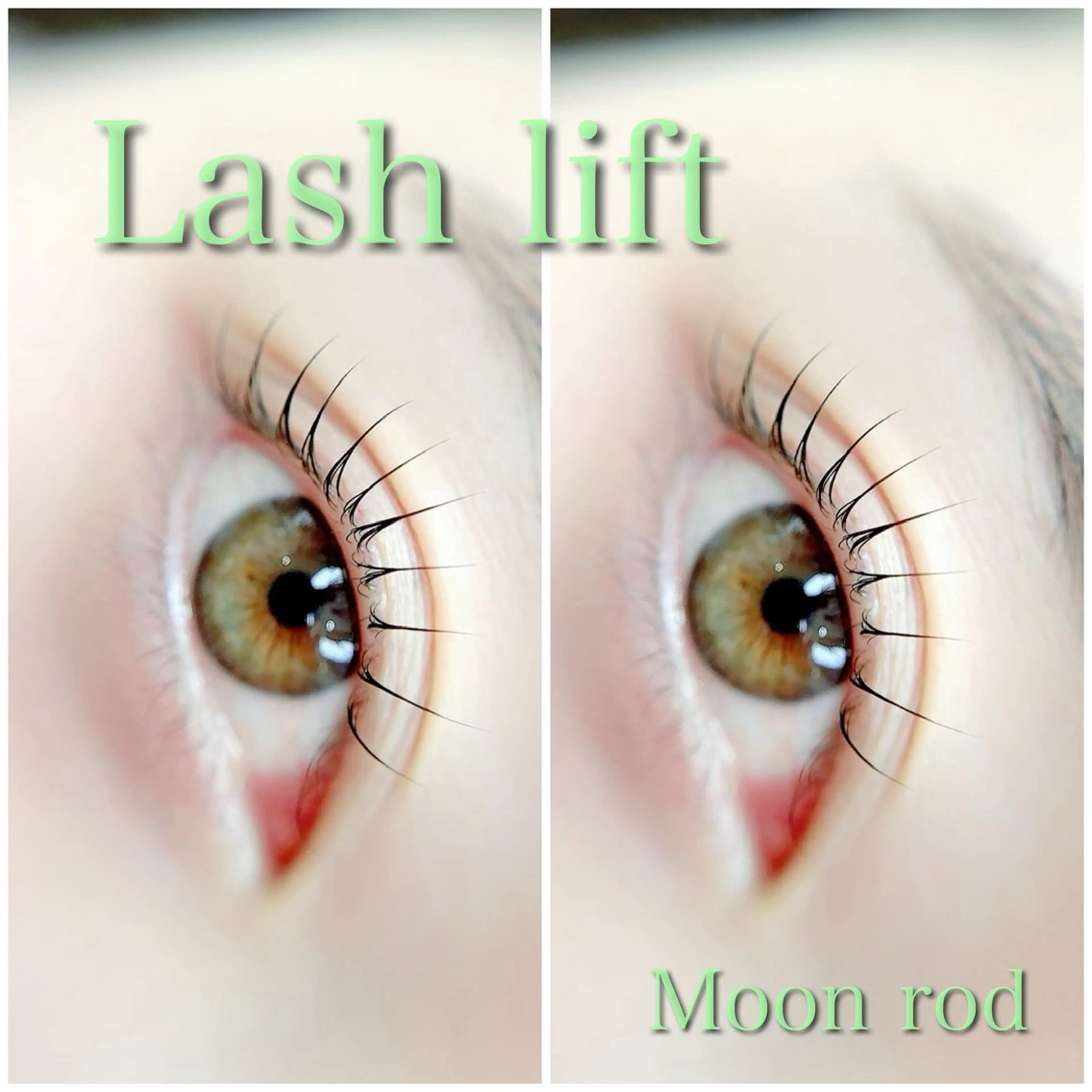 【ロッド種類豊富✨】まつ毛パーマ🌿ケラチンTR付の写真