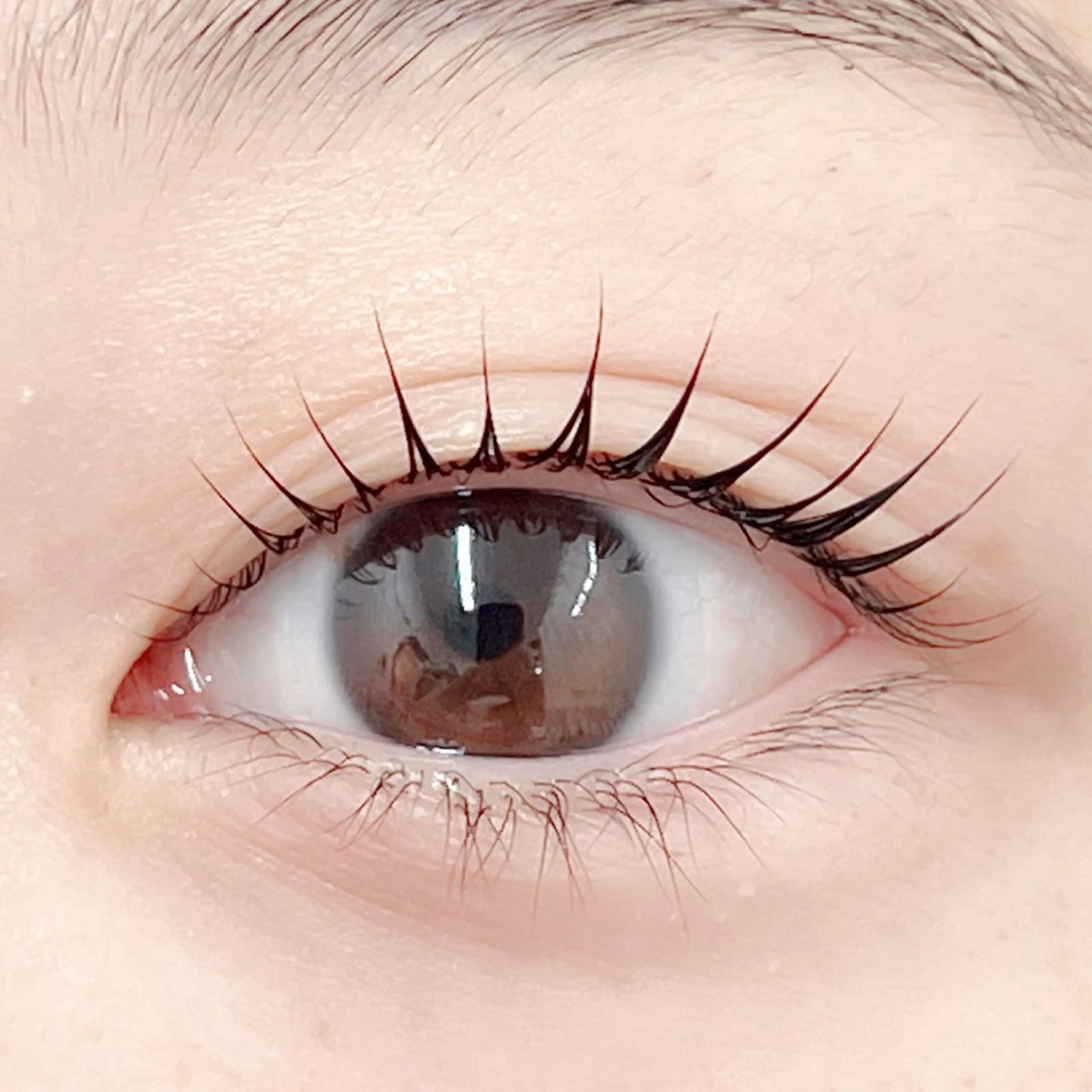 マツエク・マツパ マツパ 田村 莉子のマツエク・マツパデザイン