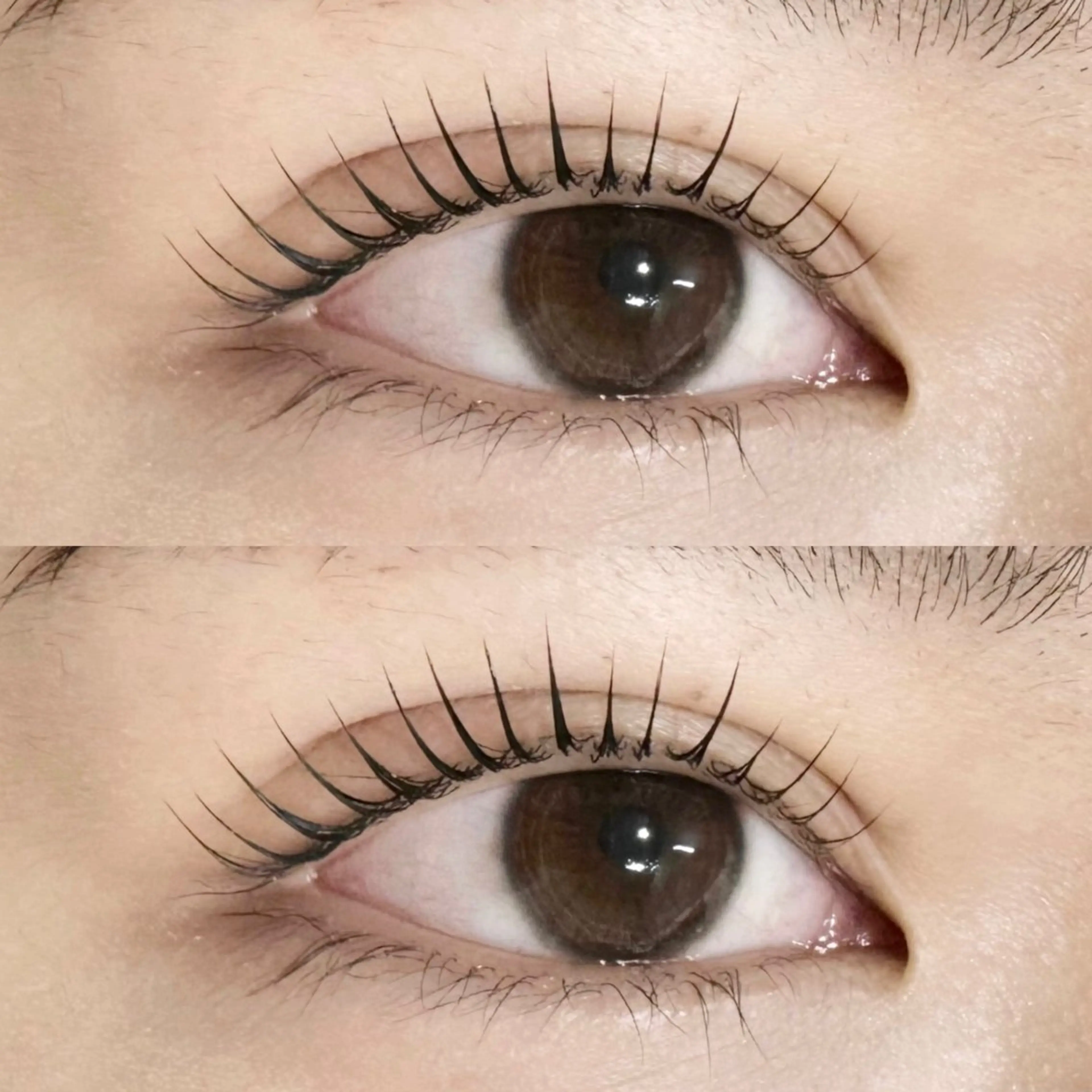 マツエク・マツパ マツパ MOND🪄 Ayanaのマツエク・マツパデザイン