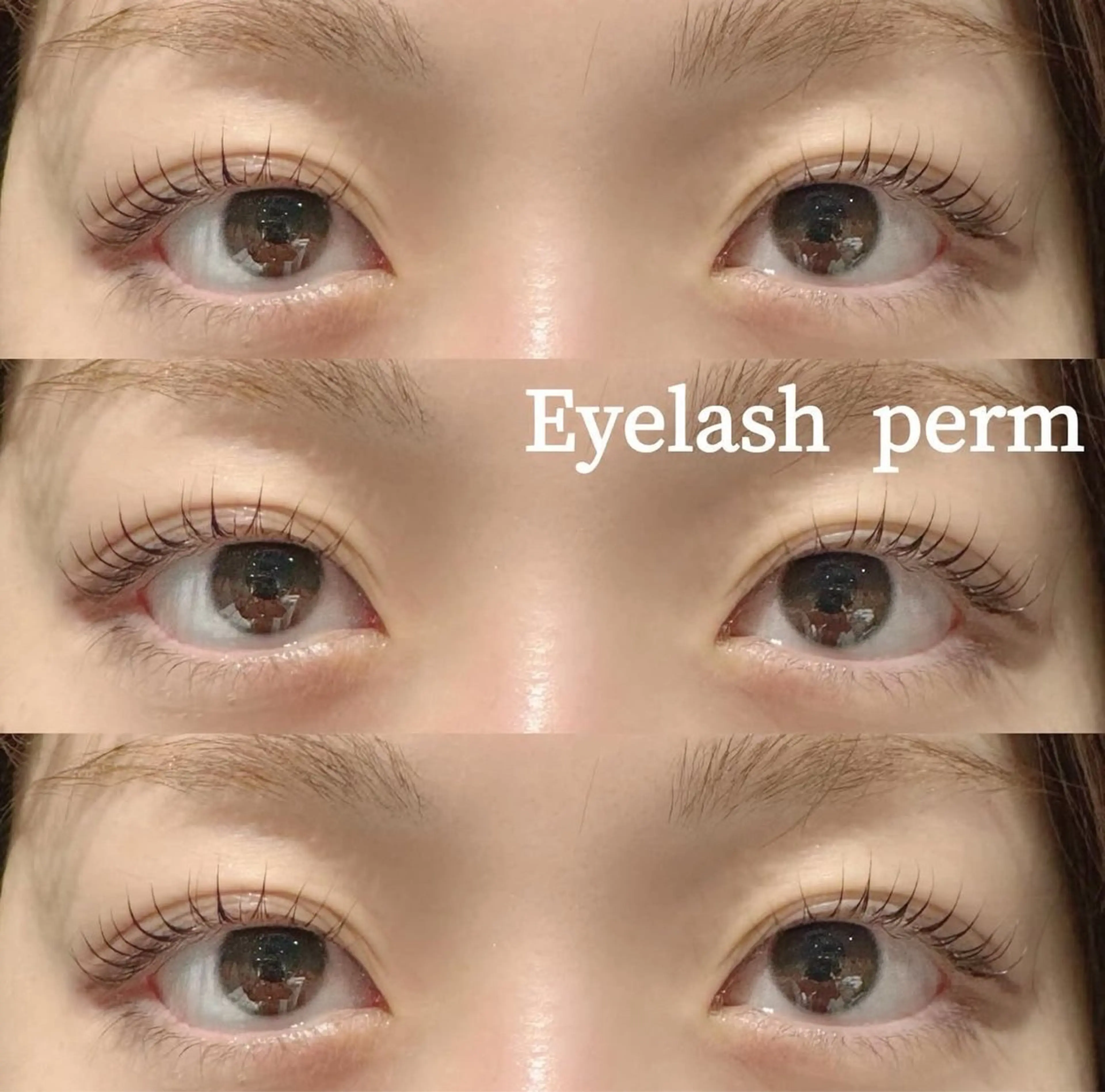 ãããšã¯ã»ããã ããã natsumið æ°äžžåã»æŠèµå°æã®ãããšã¯ã»ããããã¶ã€ã³