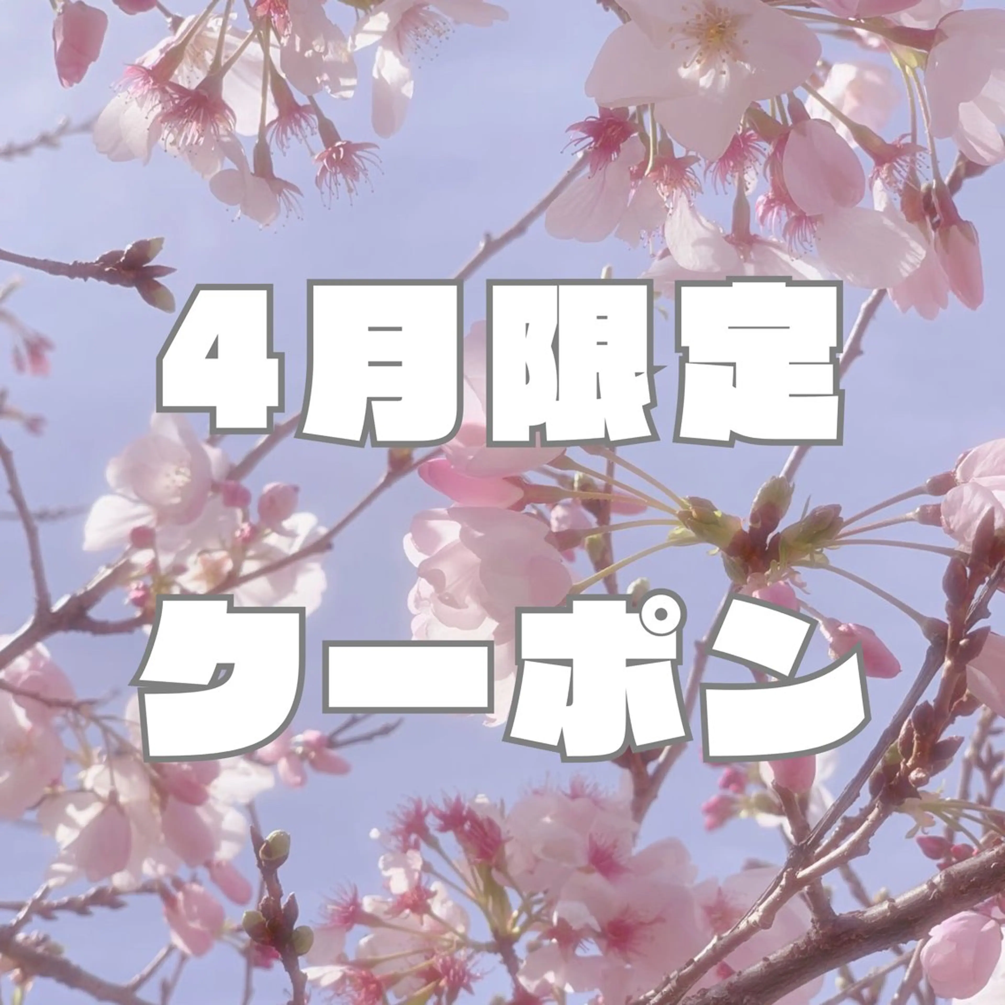 【🐣4月限定🌸】🎀ラッシュリフト【上のみ】🎀｜アイシャンプー付🫧｜※パリジェンヌ変更🉑の写真