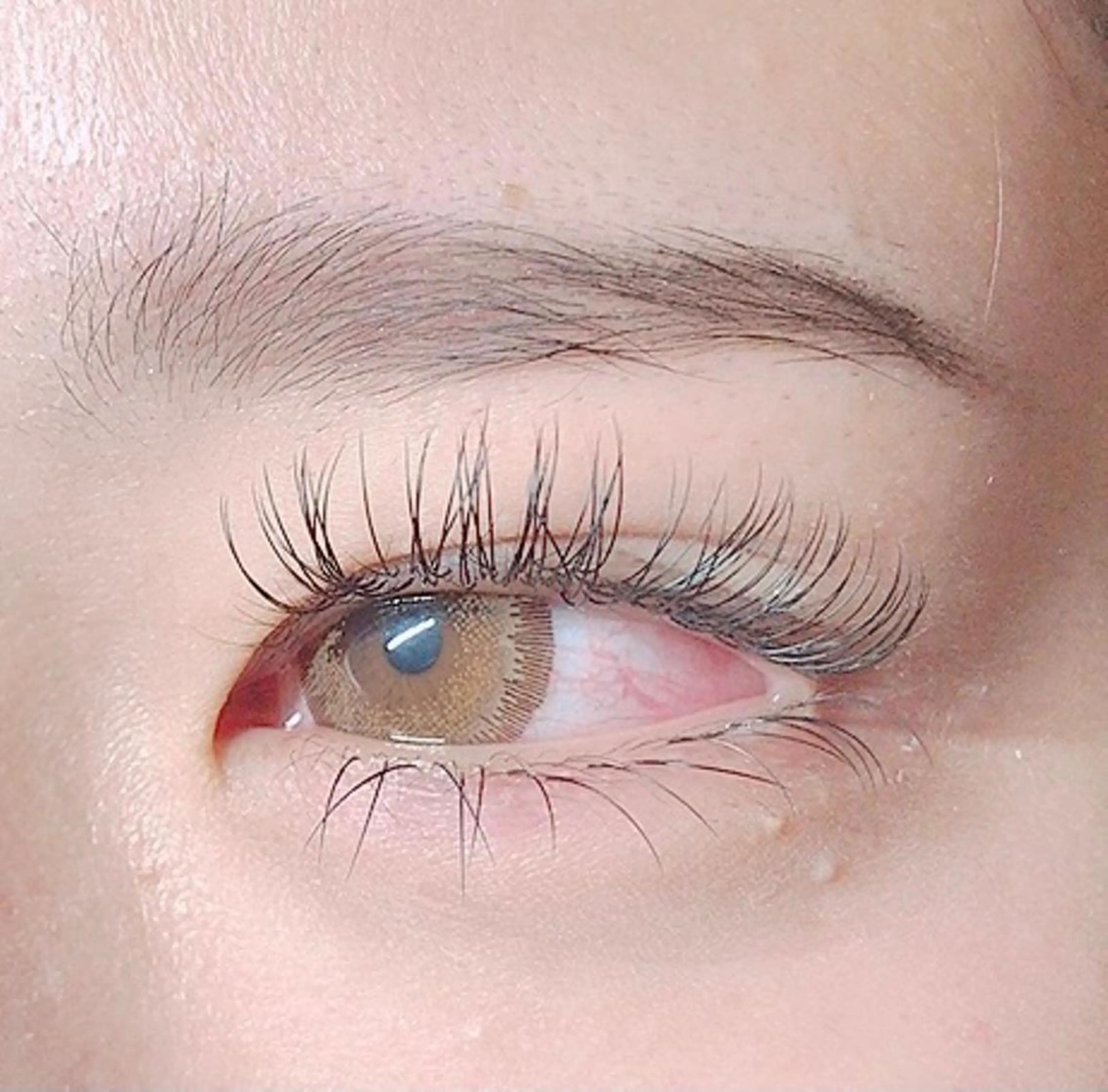 マツエク・マツパ Cカール キュート Dカール フラットラッシュ マツエク 🍀fleur🍀 束感/ワンホン/杉浦のマツエク・マツパデザイン