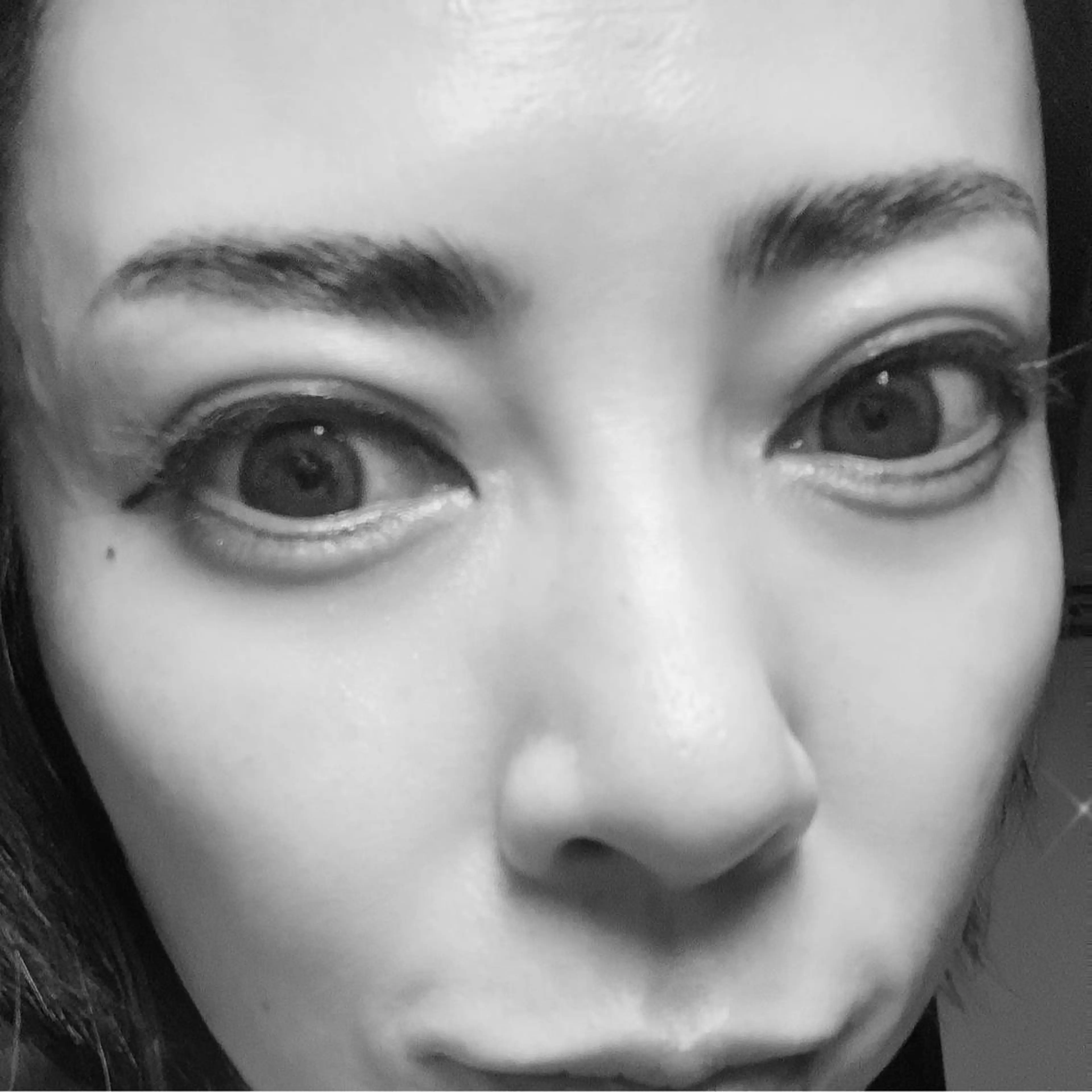 ブロウラミネーションの写真