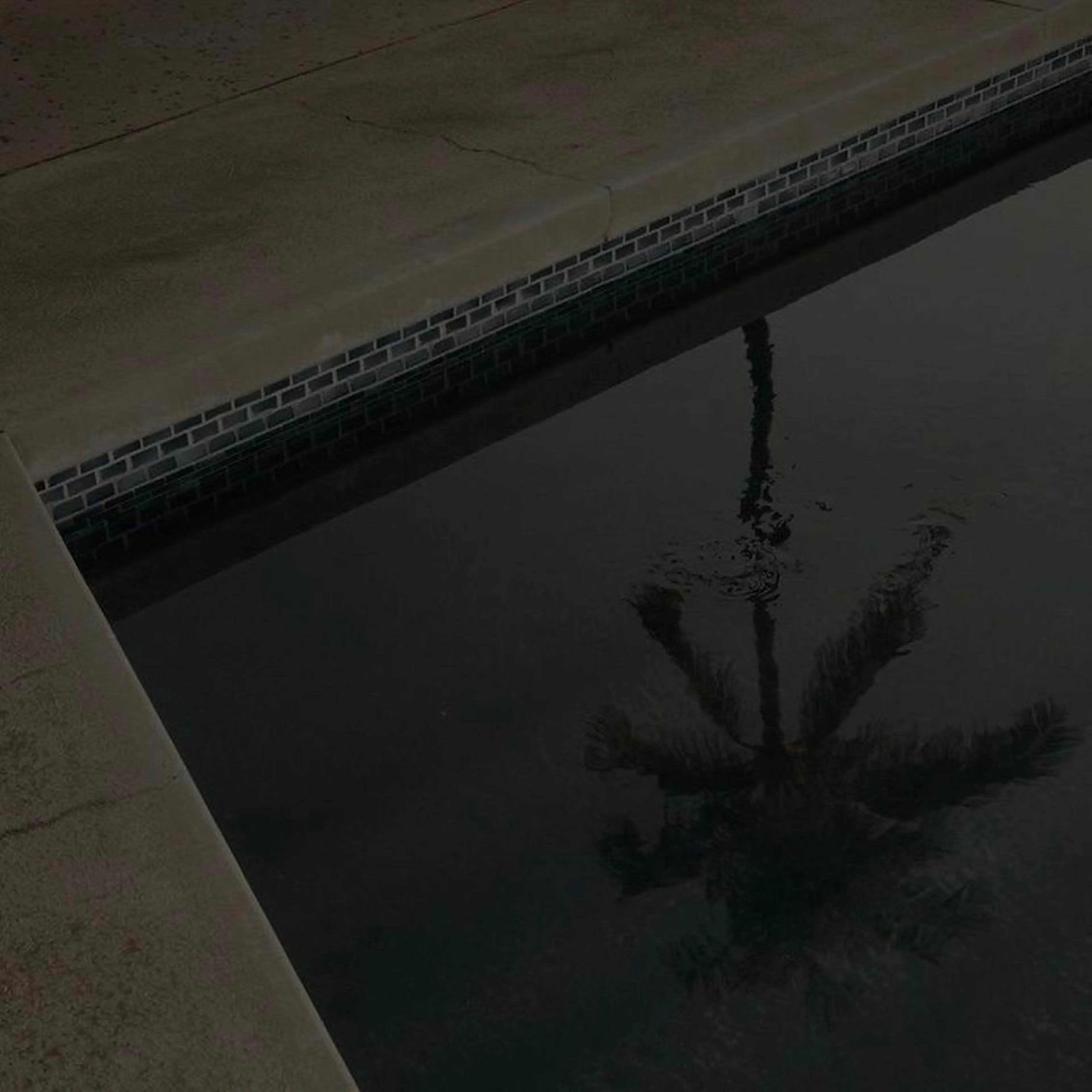 shiho .のヘアスタイル