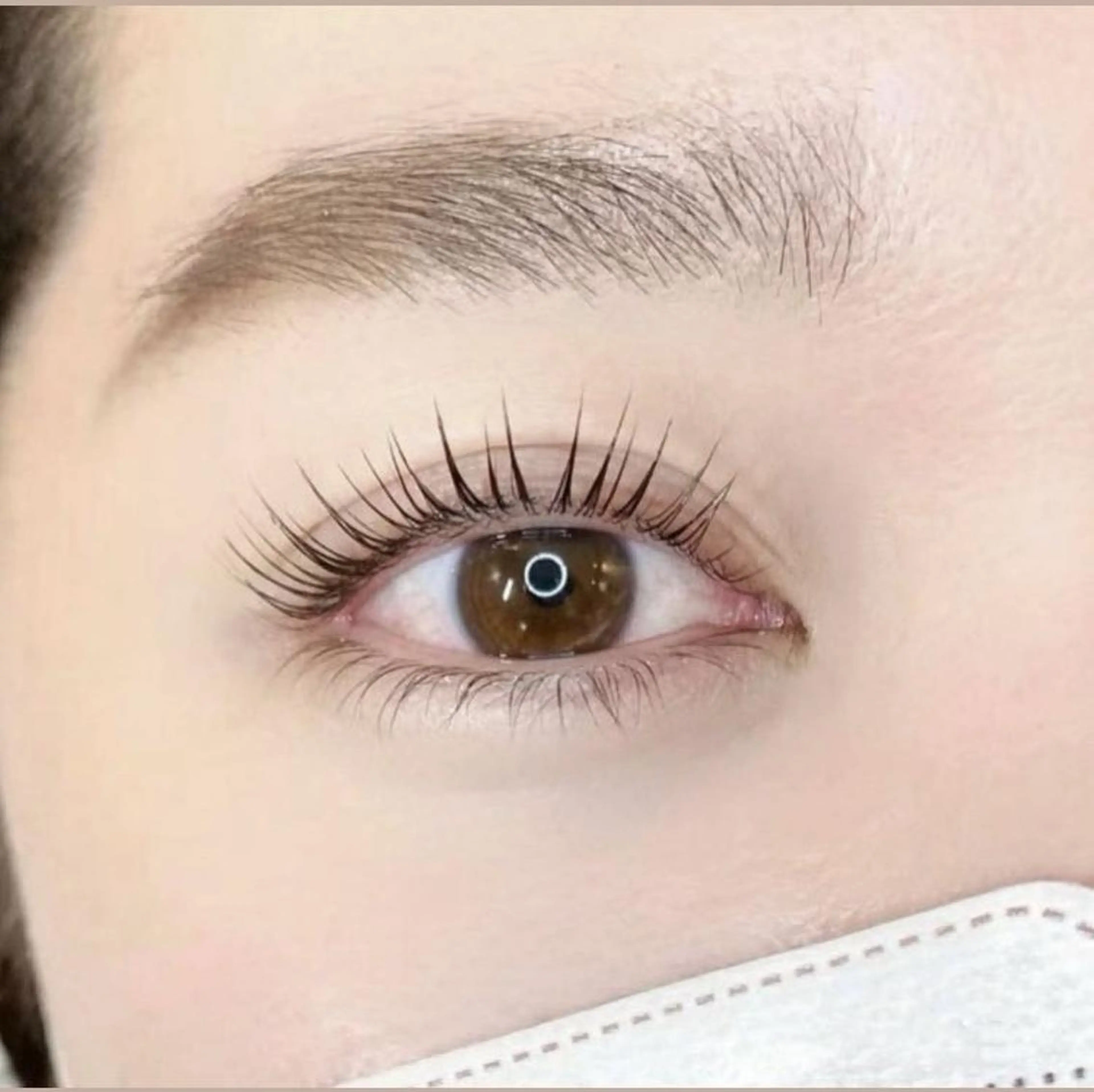 🧸まつ毛パーマ🧸美容液付きの写真