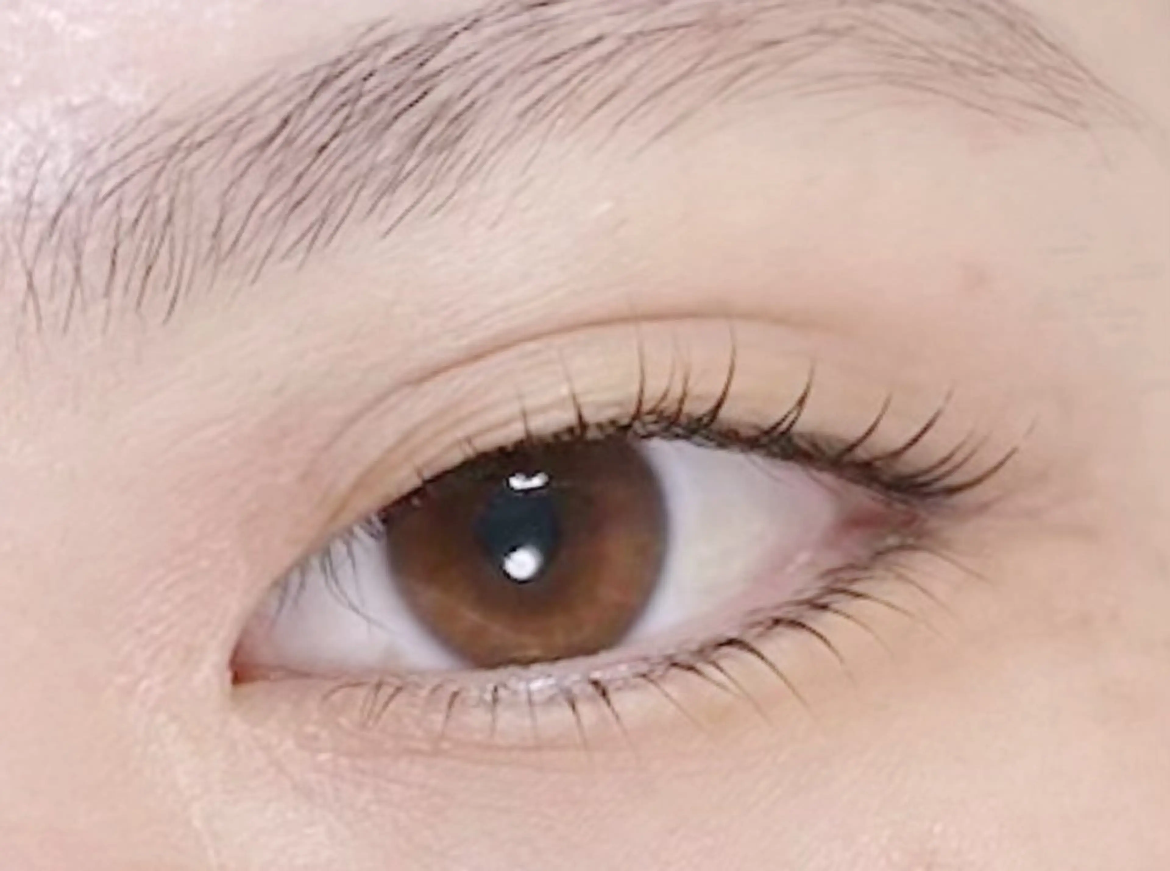 まつげパーマ上下の写真