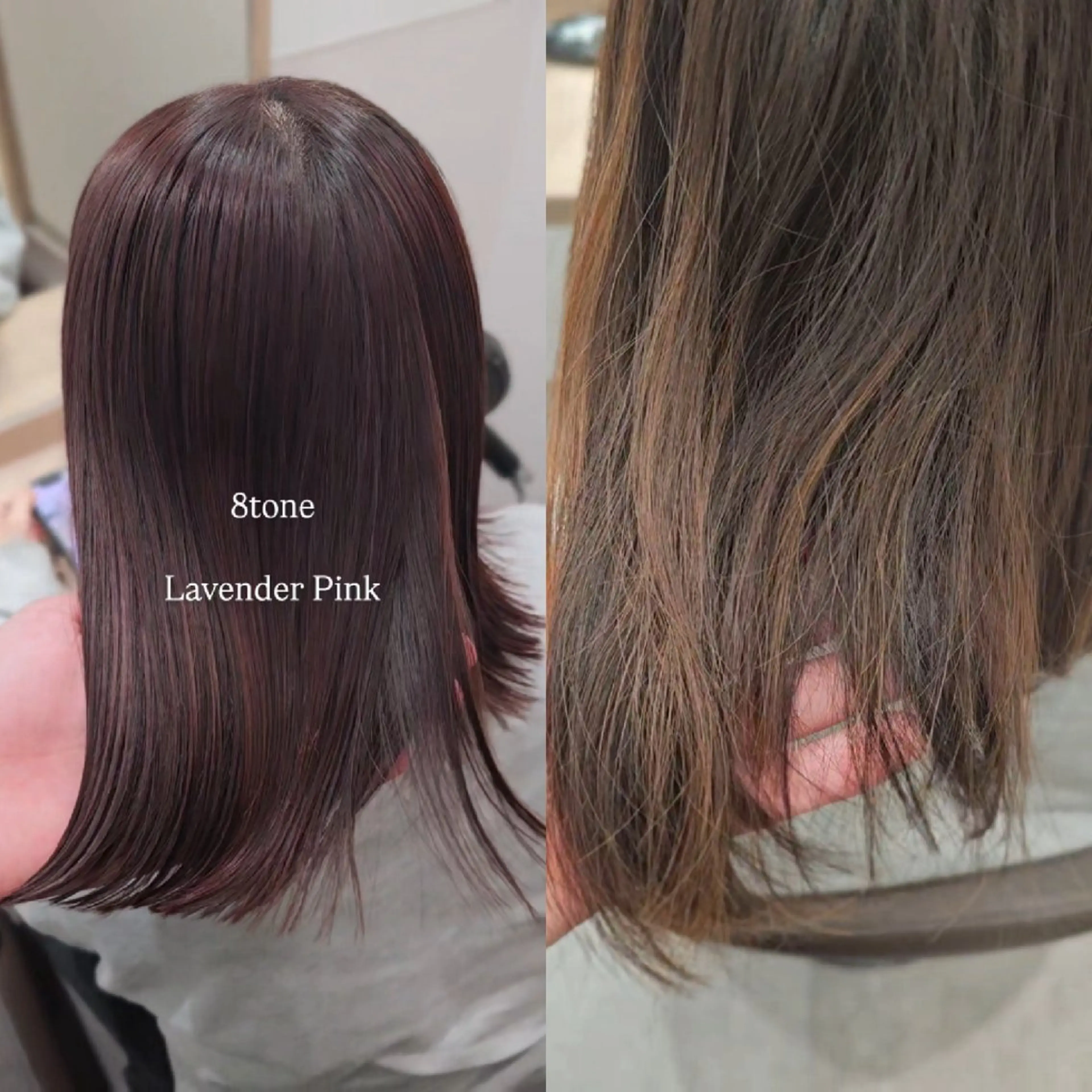 ミディアム カラー カット ヘアカラー トリートメント 縮毛矯正をしている人 のためのカラーのヘアスタイル