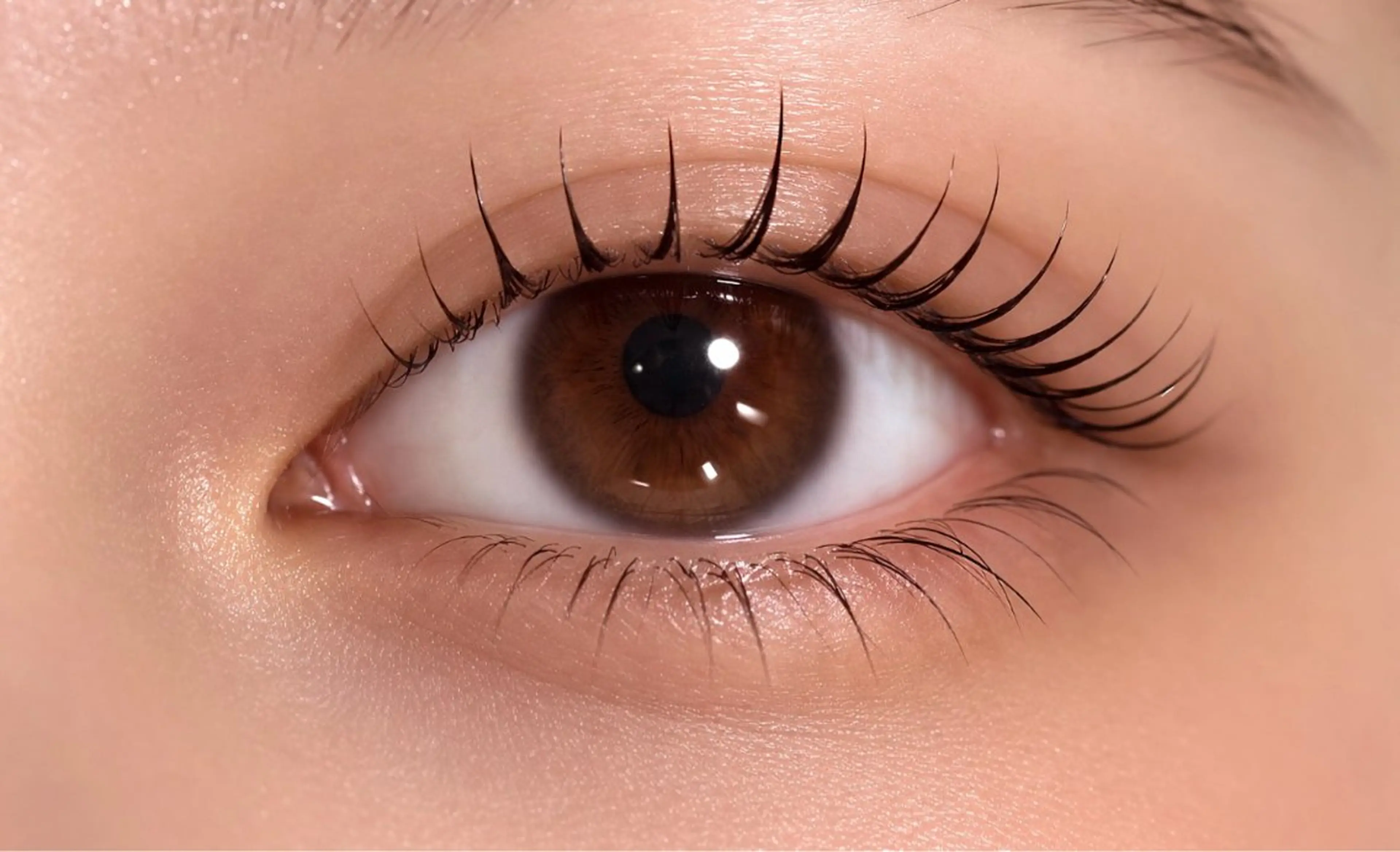 【お得セット🌟】まつ毛パーマ🌠コーティング🌟トリートメント付きの写真