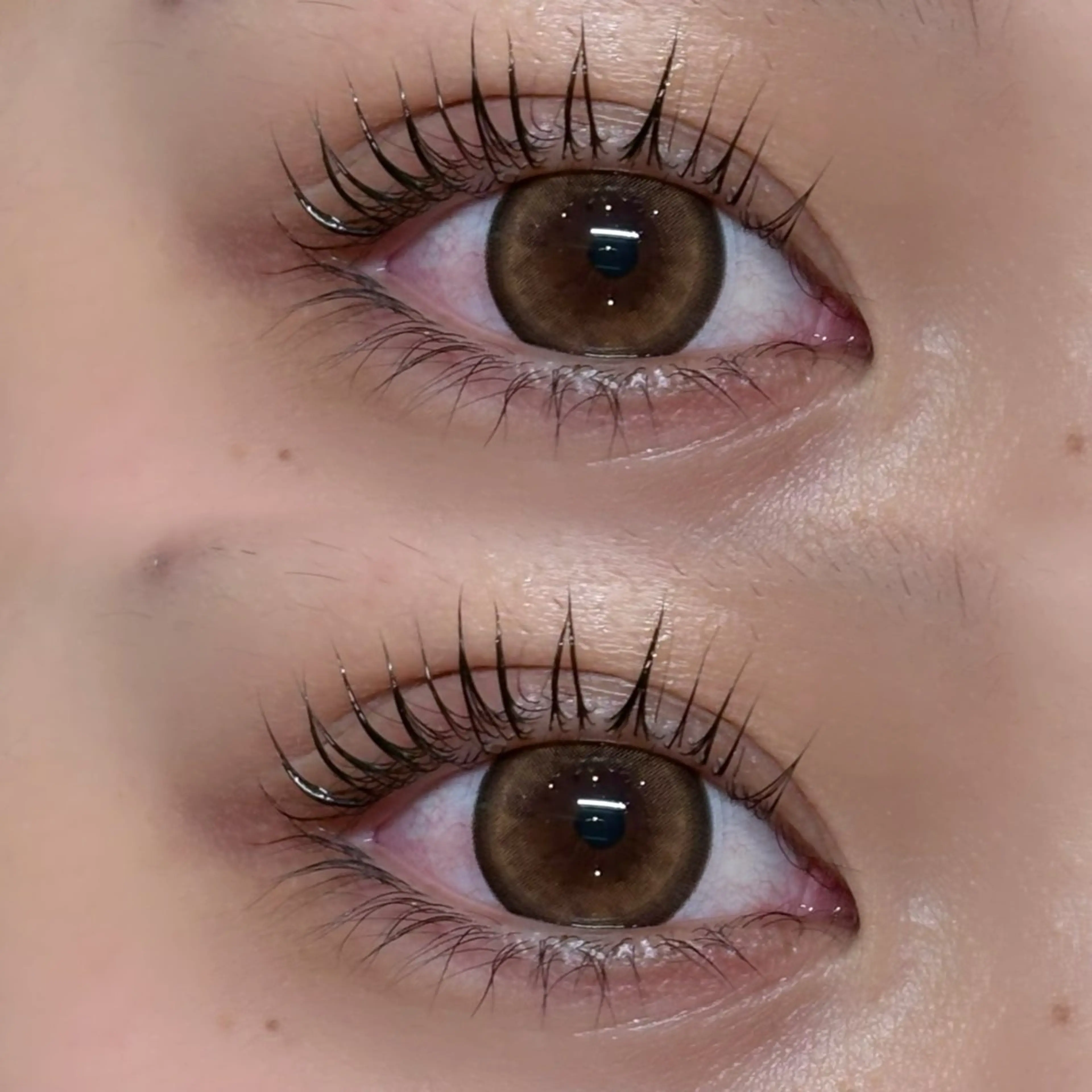 マツエク・マツパ パリジェンヌラッシュリフト アンドヘルシー/束感 /LED🩶MIYUのマツエク・マツパデザイン