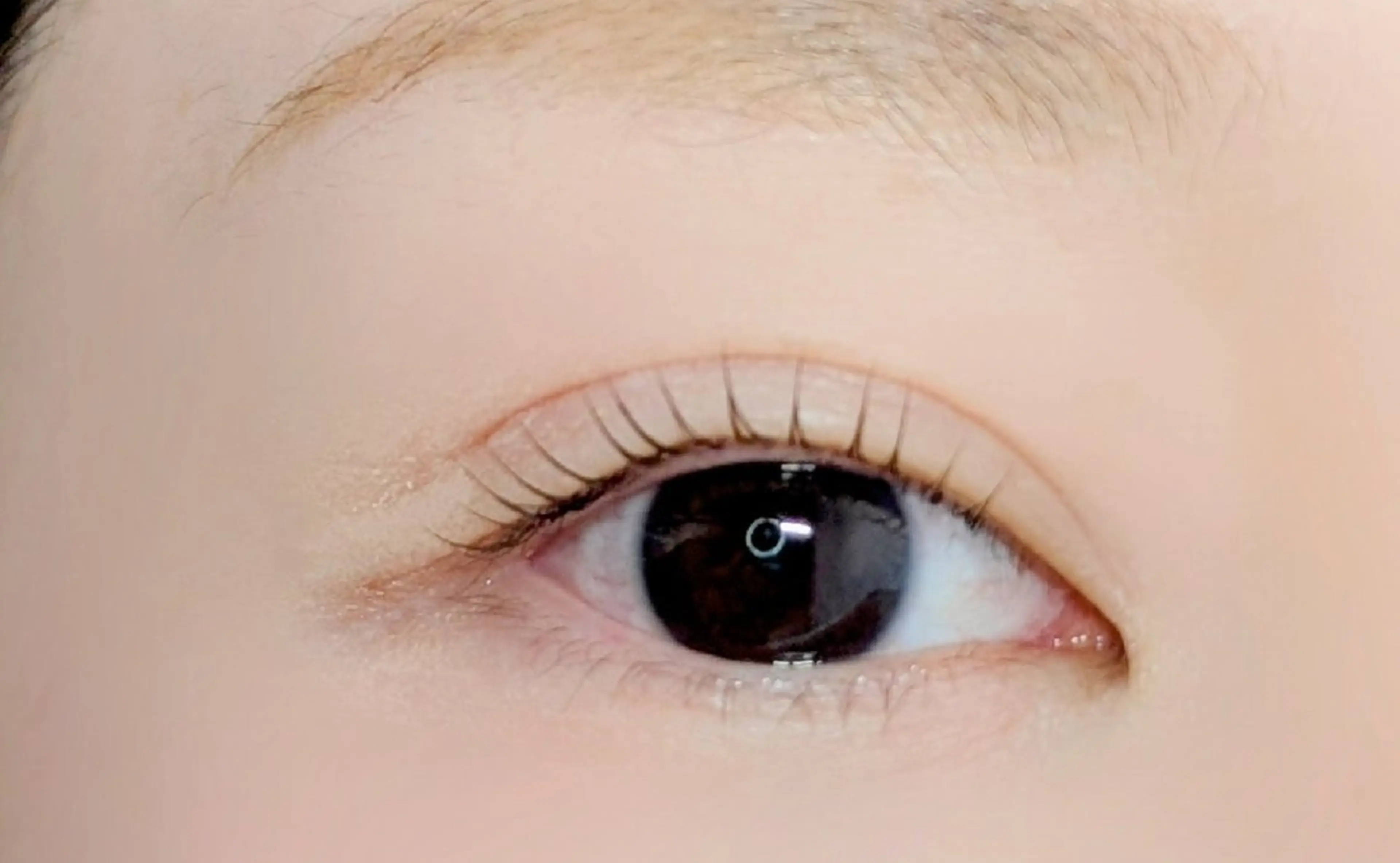 マツエク・マツパ bloom chihiroのマツエク・マツパデザイン