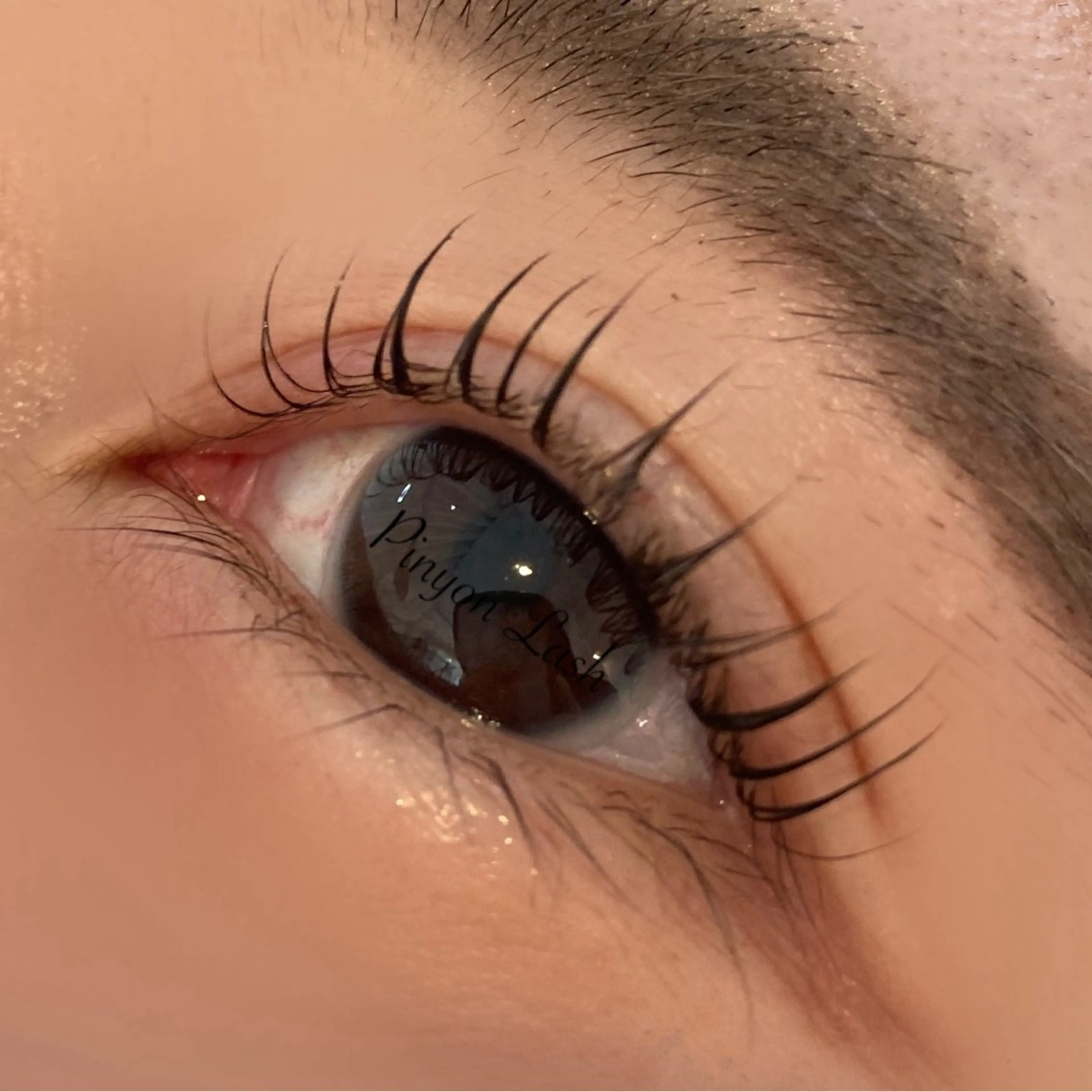 マツエク・マツパ ピニョン ラッシュのマツエク・マツパデザイン