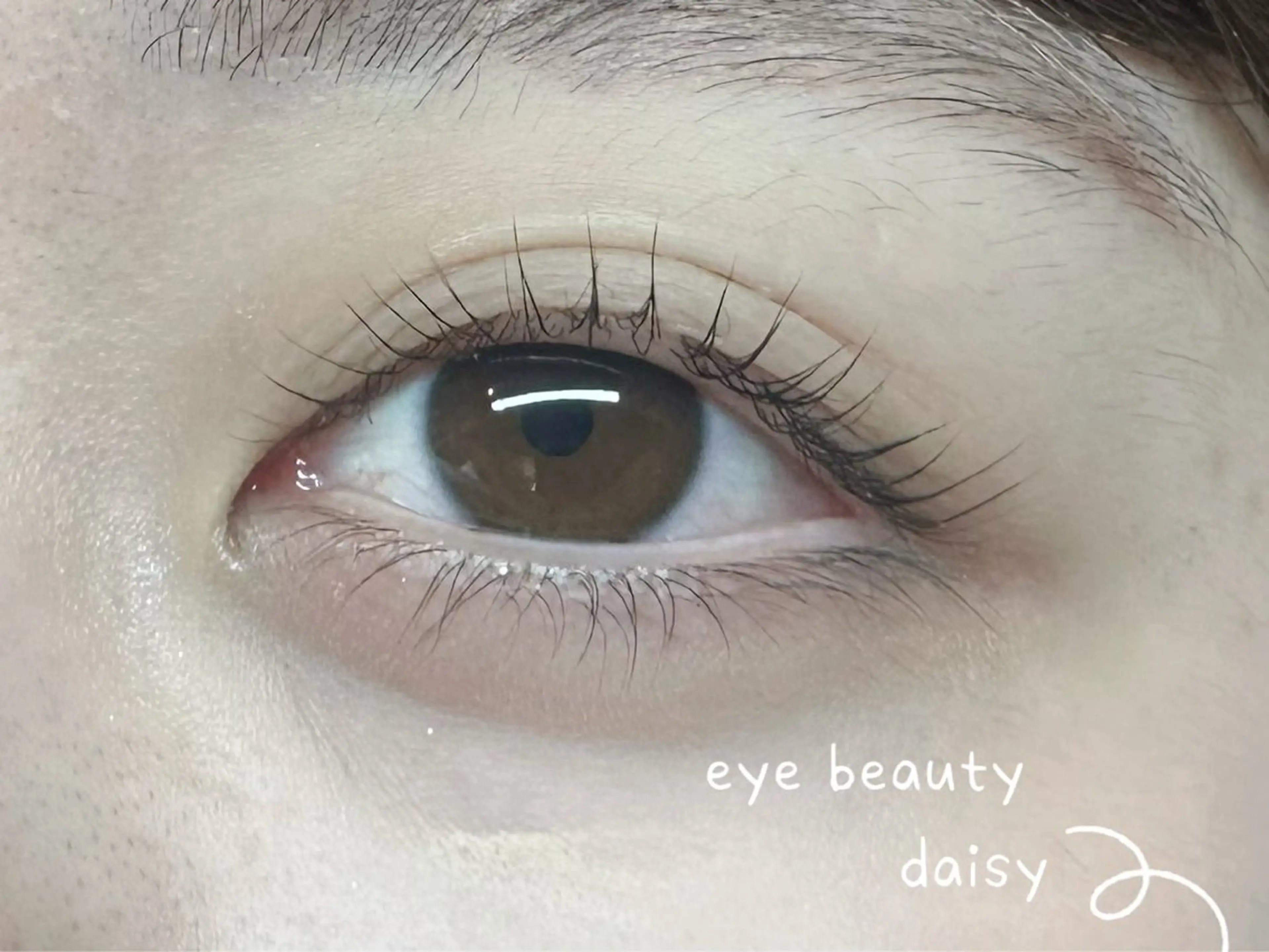 パーマ マツパ Daisy シンシンのマツエク・マツパデザイン
