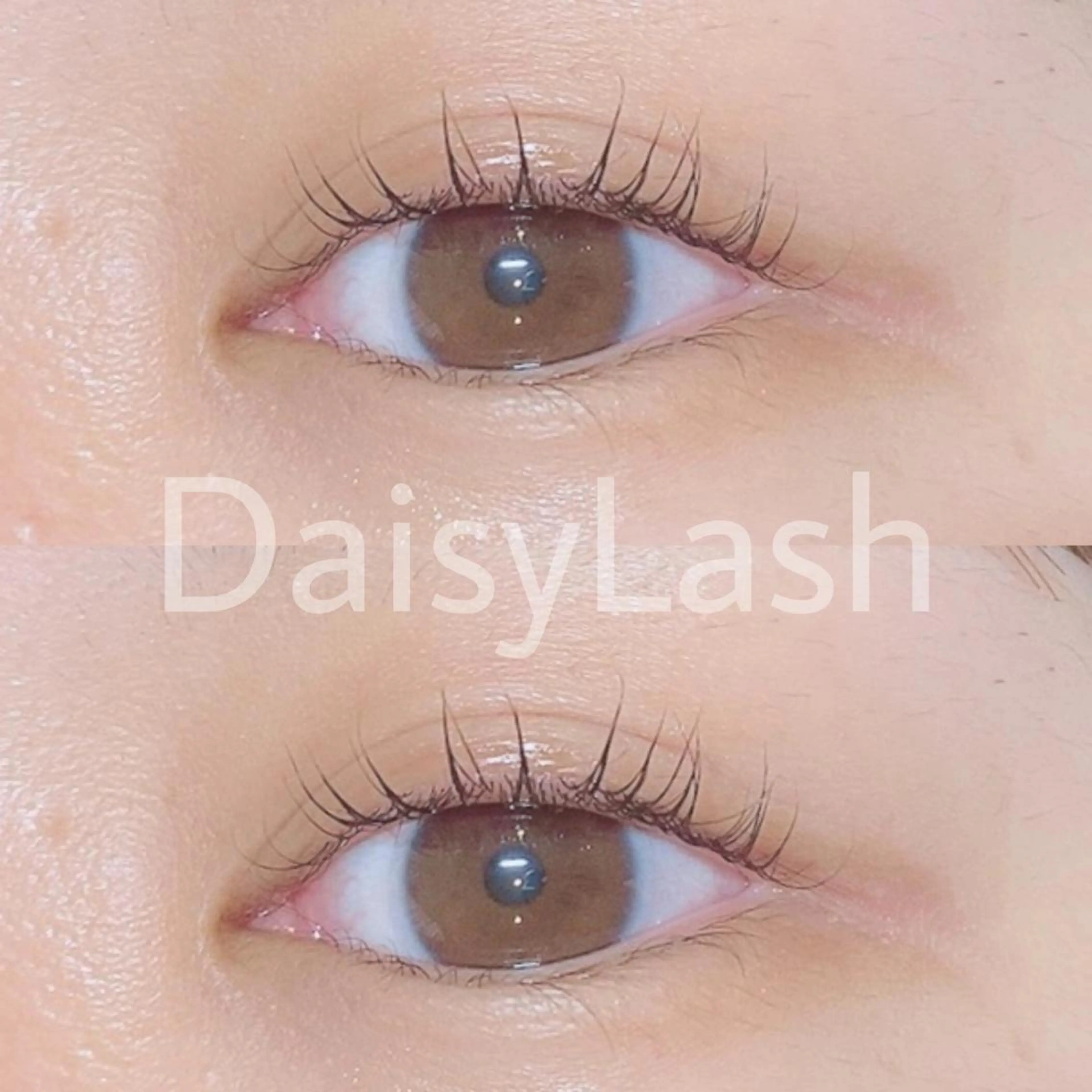 マツエク・マツパ DaisyLash 京橋店のマツエク・マツパデザイン