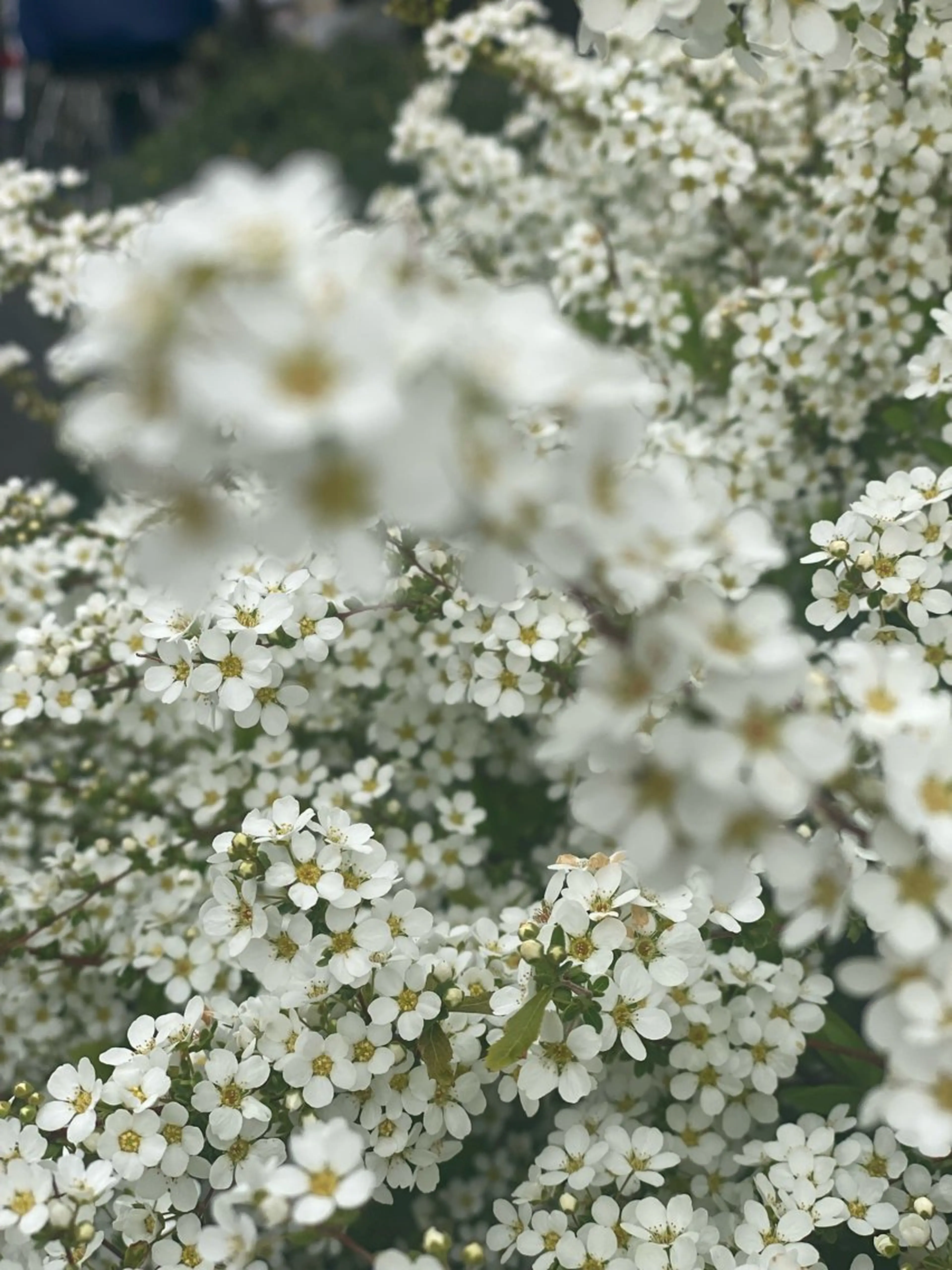 ネイル free hug Hiromiのネイルデザイン