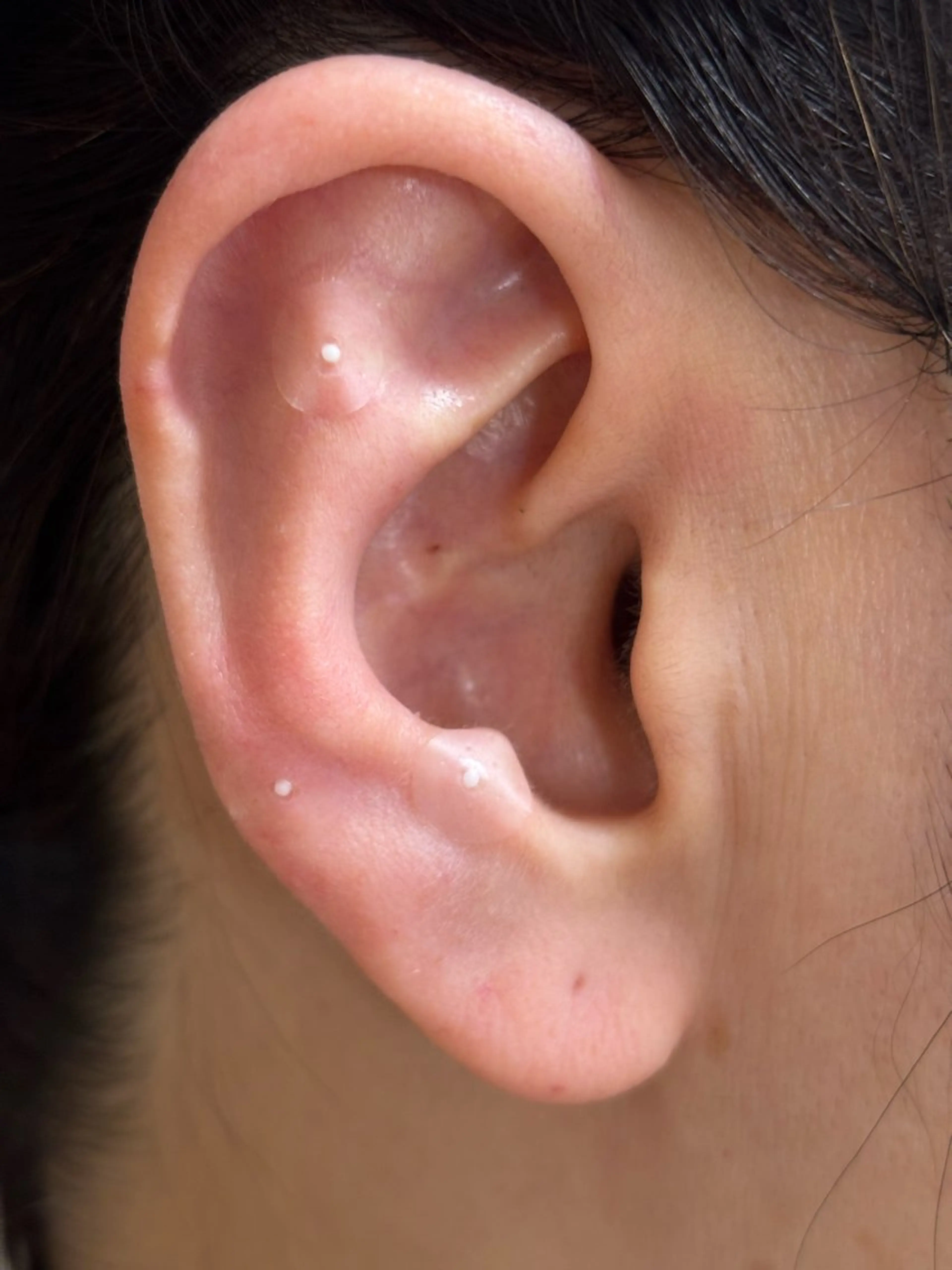 【SNSで話題】耳ツボジュエリー　全てパーツなし6粒（片耳3粒ずつ）の写真