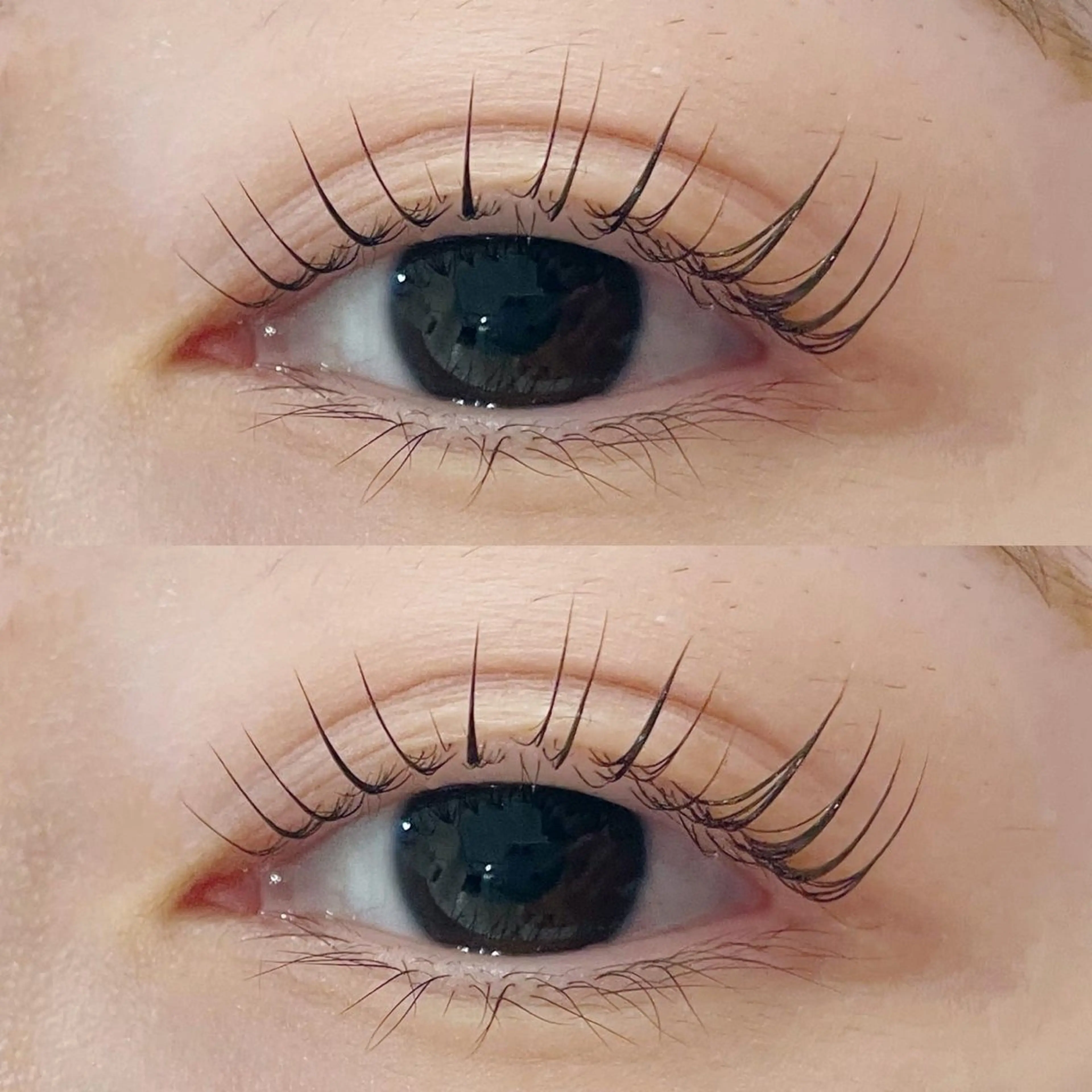 minimo限定🛍️ 似合わせまつ毛パーマ / パリジェンヌ変更🆗アイシャンプー付🧼の写真