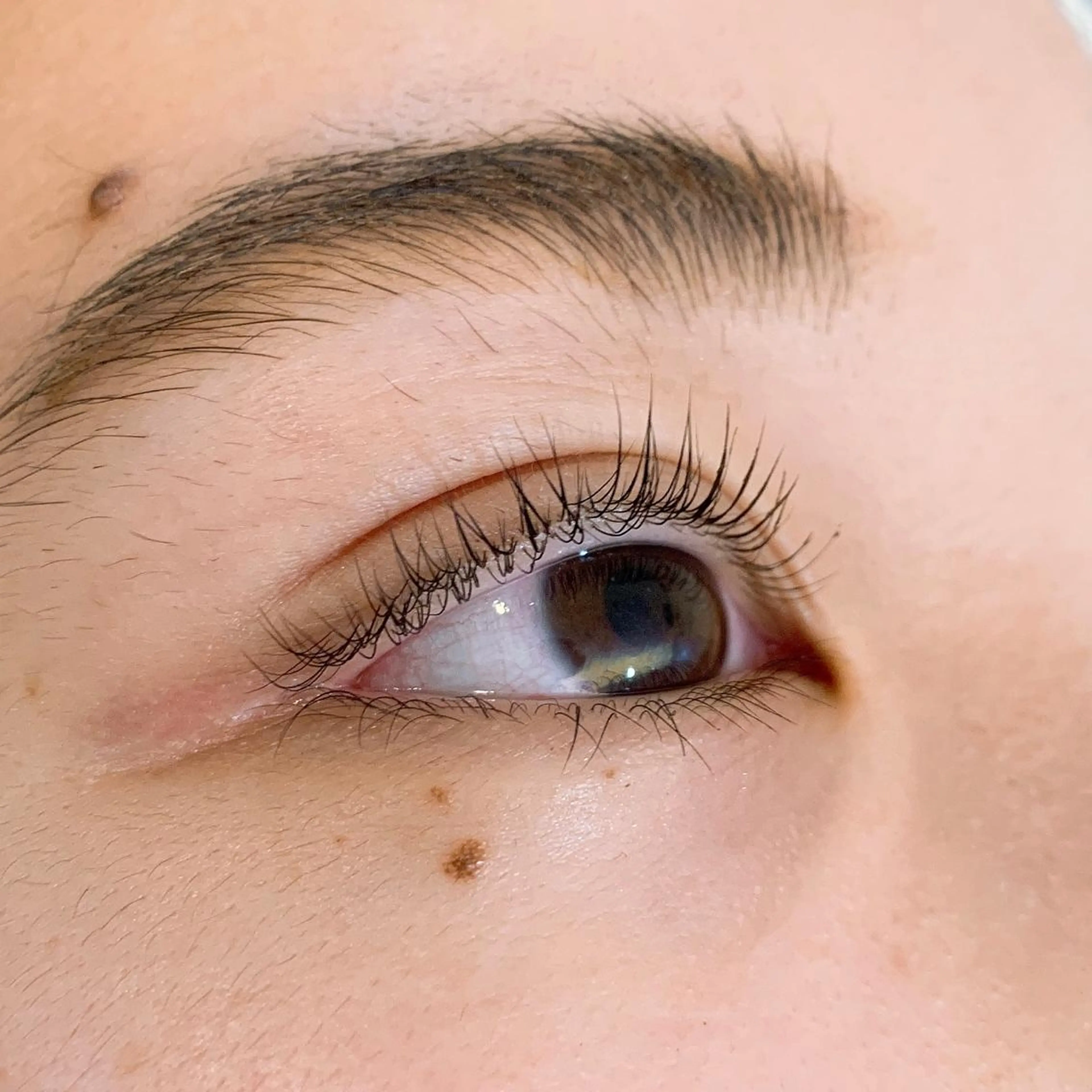 パーマ マツパ Ameri府中 アメリ【練習】の眉毛・アイブロウイメージ