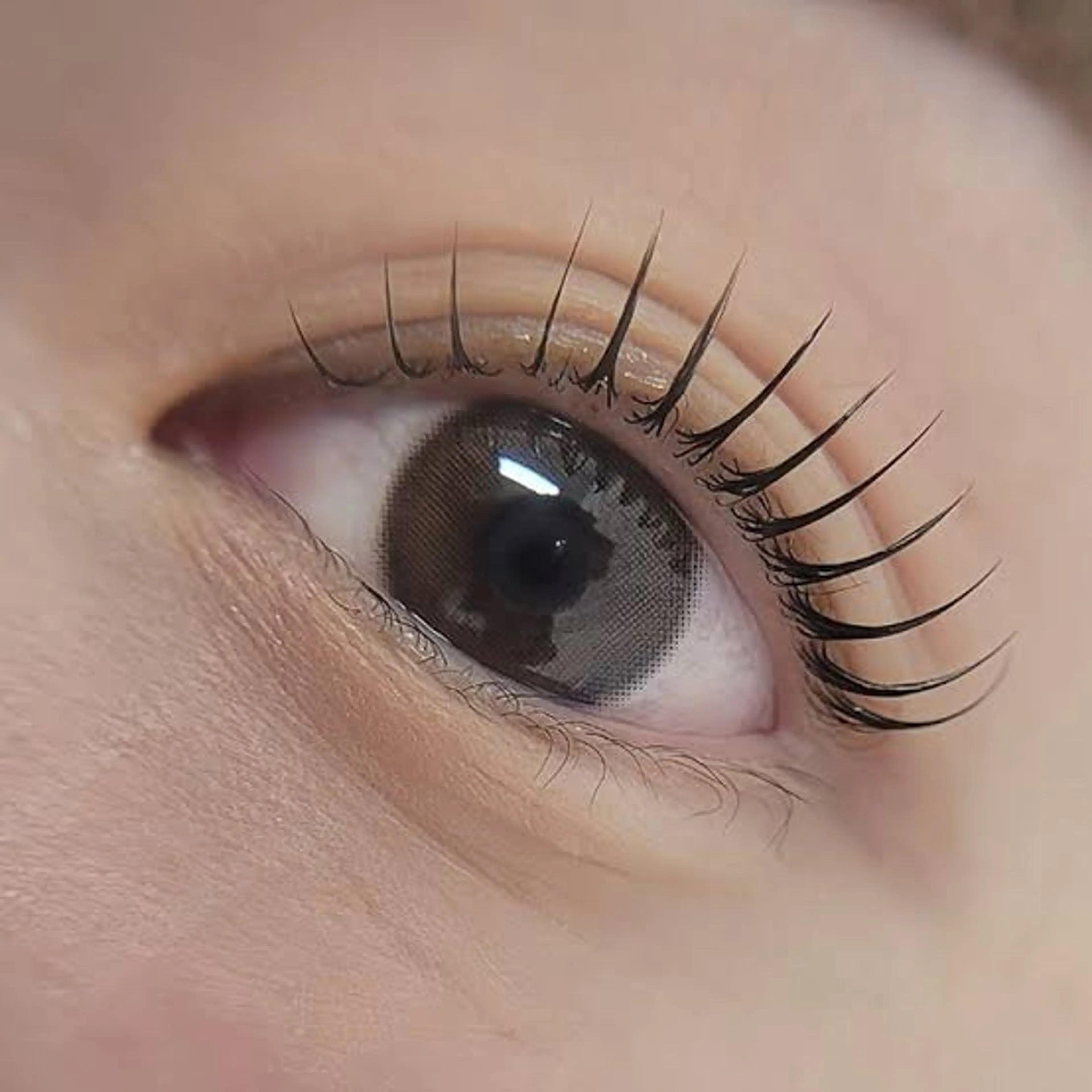 マツエク・マツパ パリジェンヌラッシュリフト lilou/ eyelashのマツエク・マツパデザイン