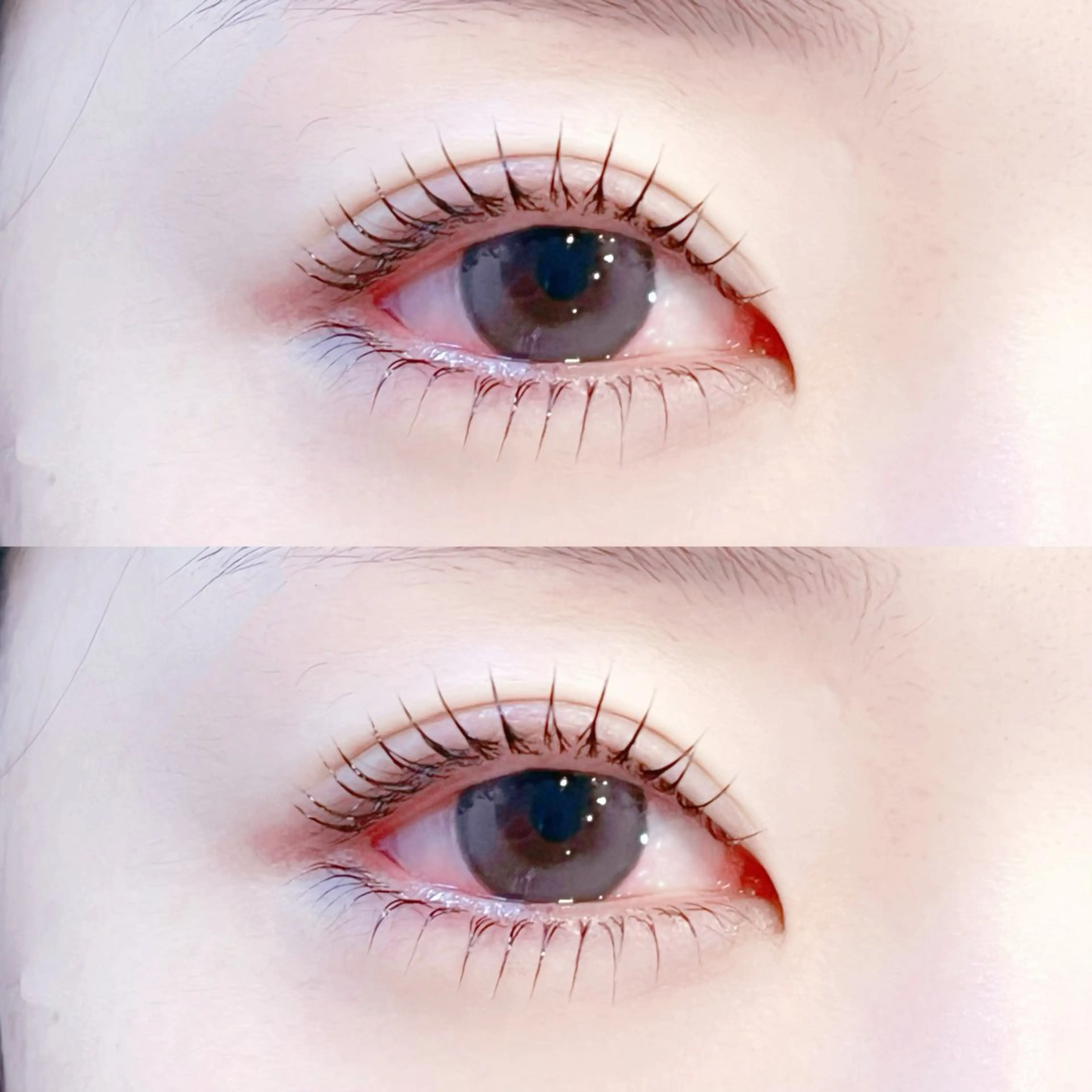 【新規様限定】上下まつ毛パーマ🩷の写真