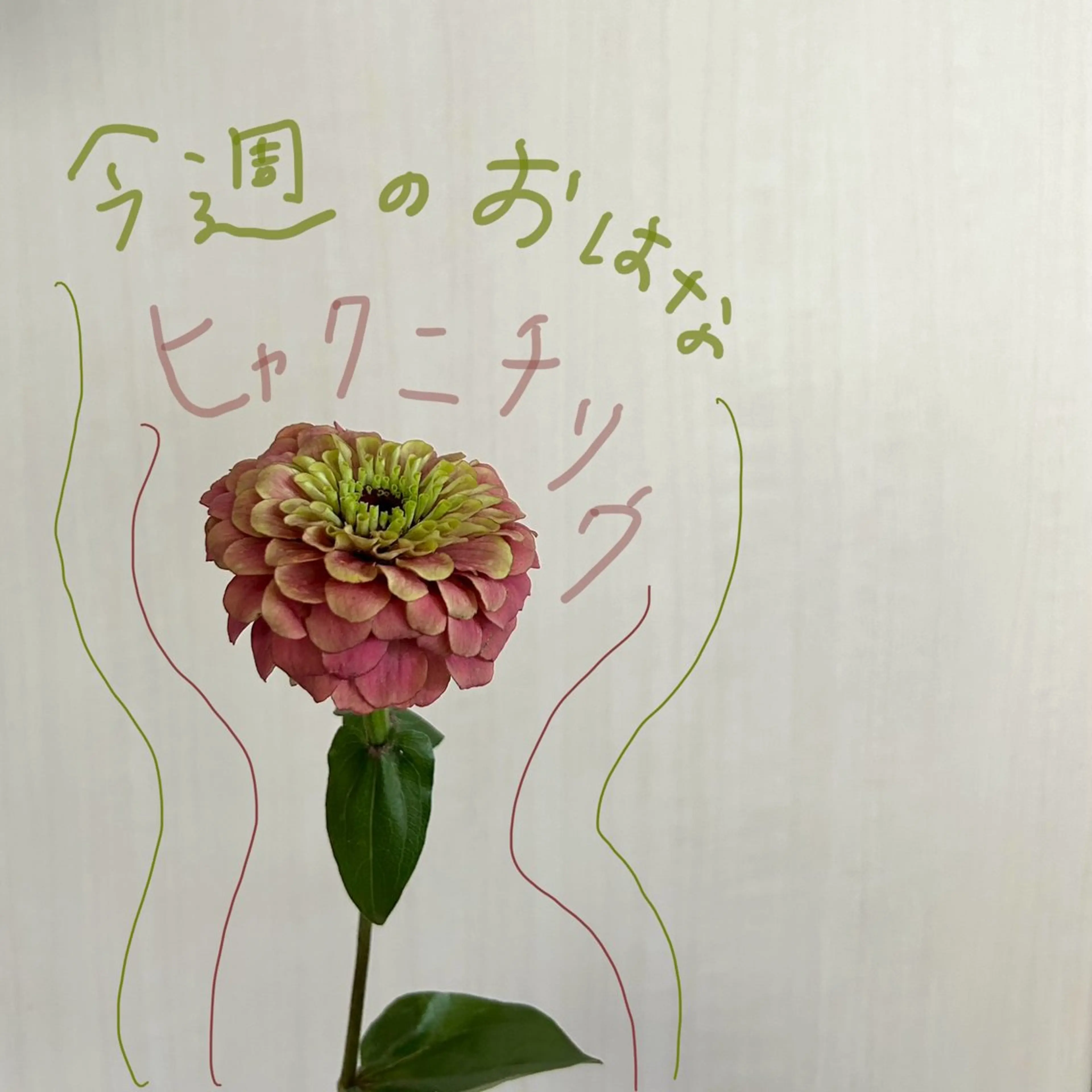 吉祥寺kasumi 🌛eye/browのマツエク・マツパデザイン