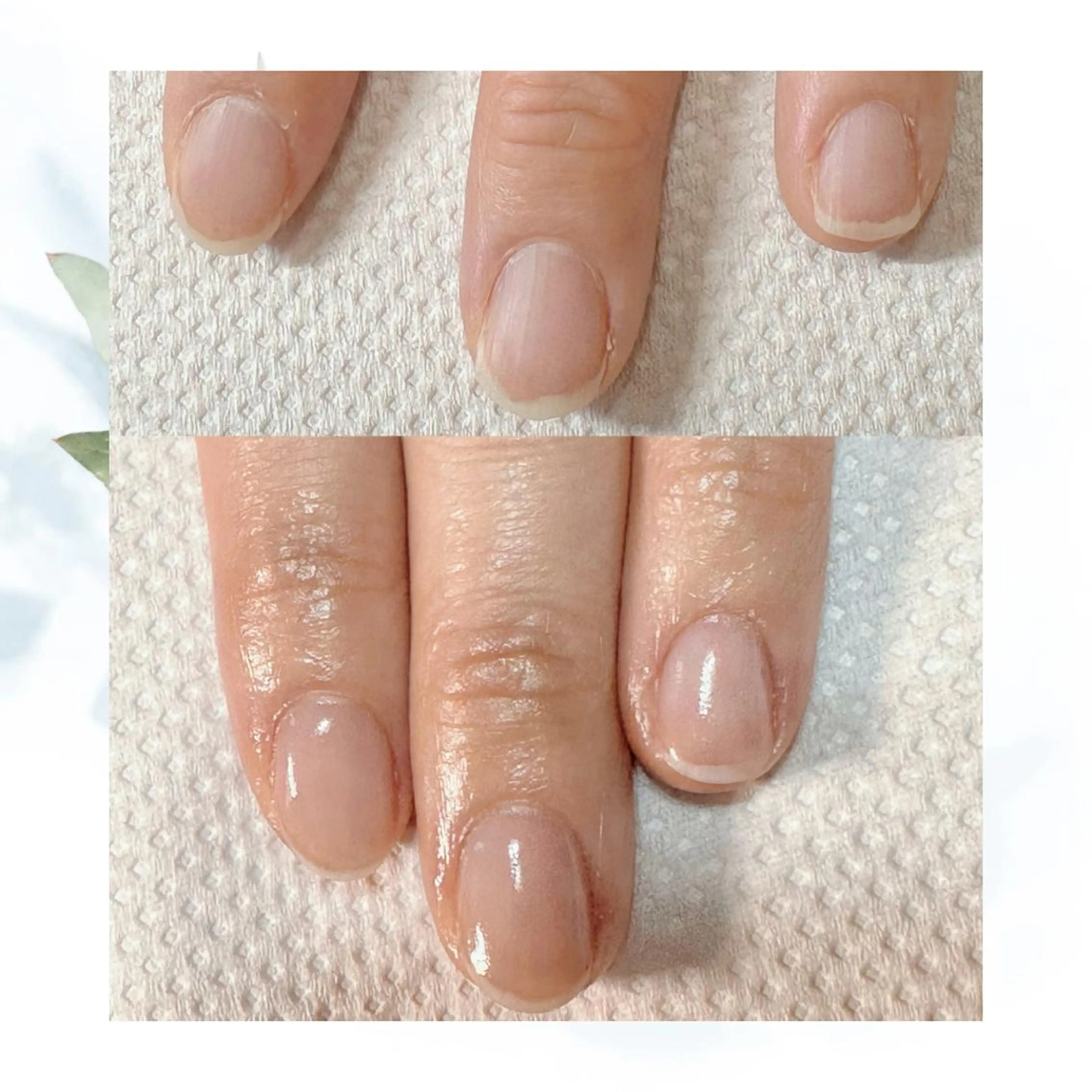 ネイル ネイルケアサロン Campanulaのネイルデザイン