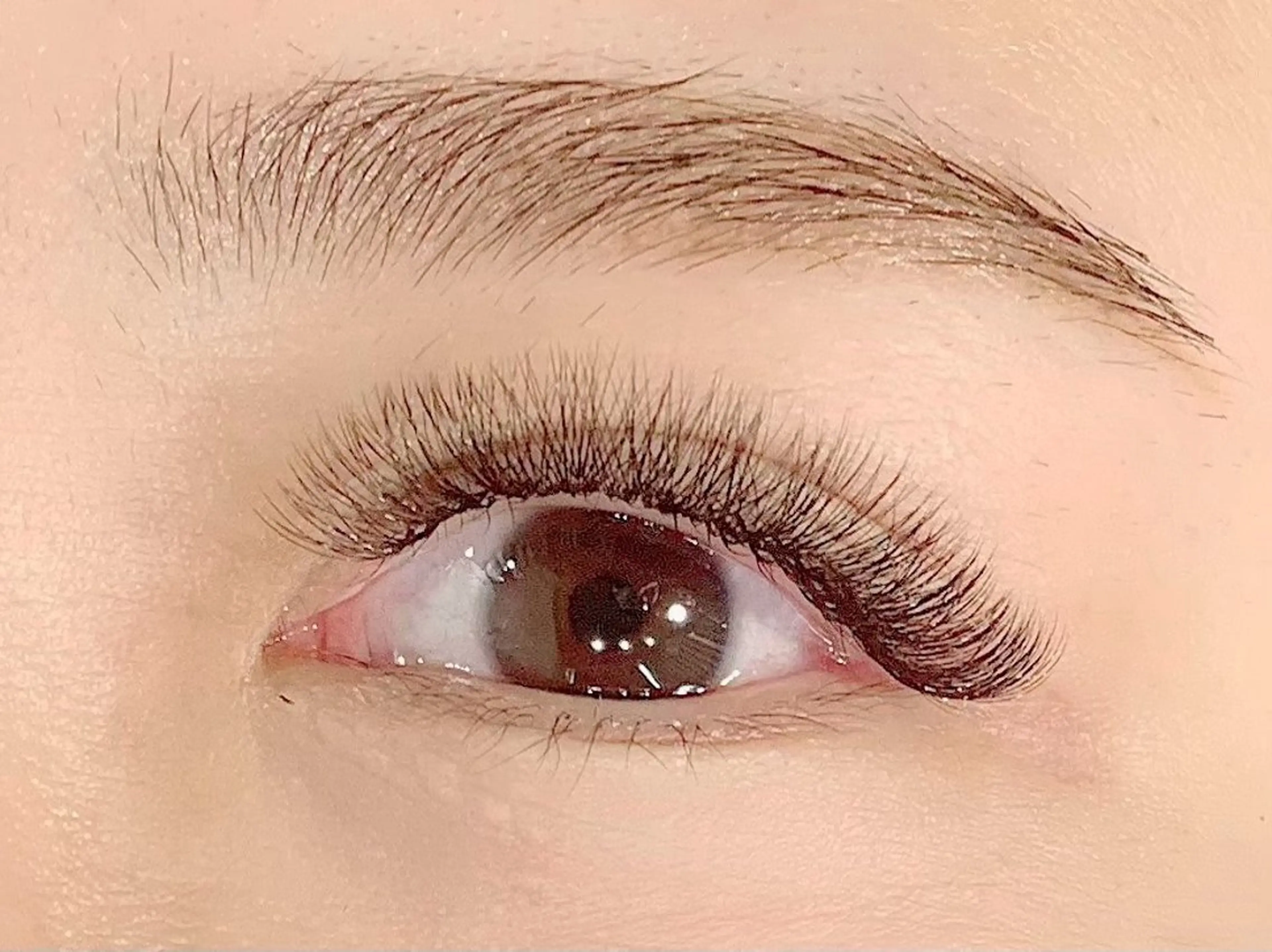 マツエク・マツパ Butterfly Jewel広島店のマツエク・マツパデザイン