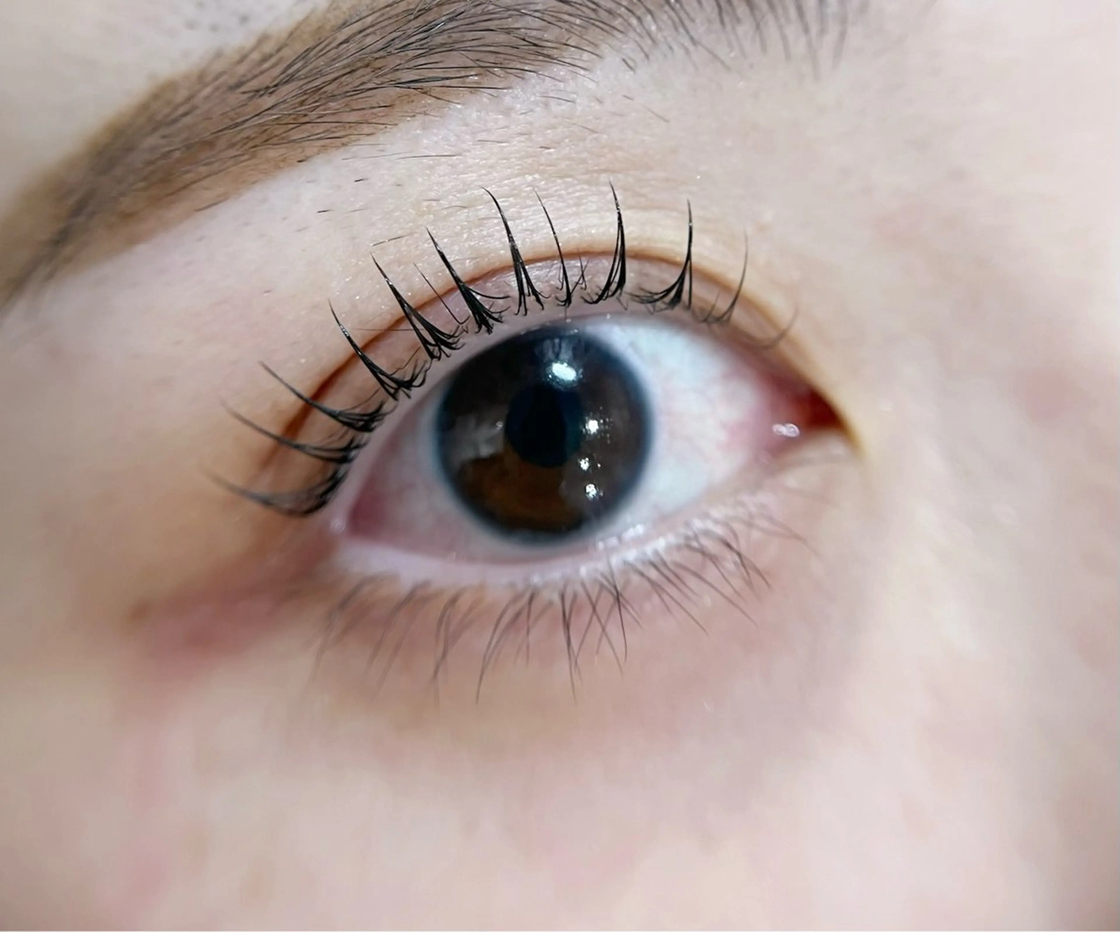 マツエク・マツパ マツパ －Ojiー セナのマツエク・マツパデザイン