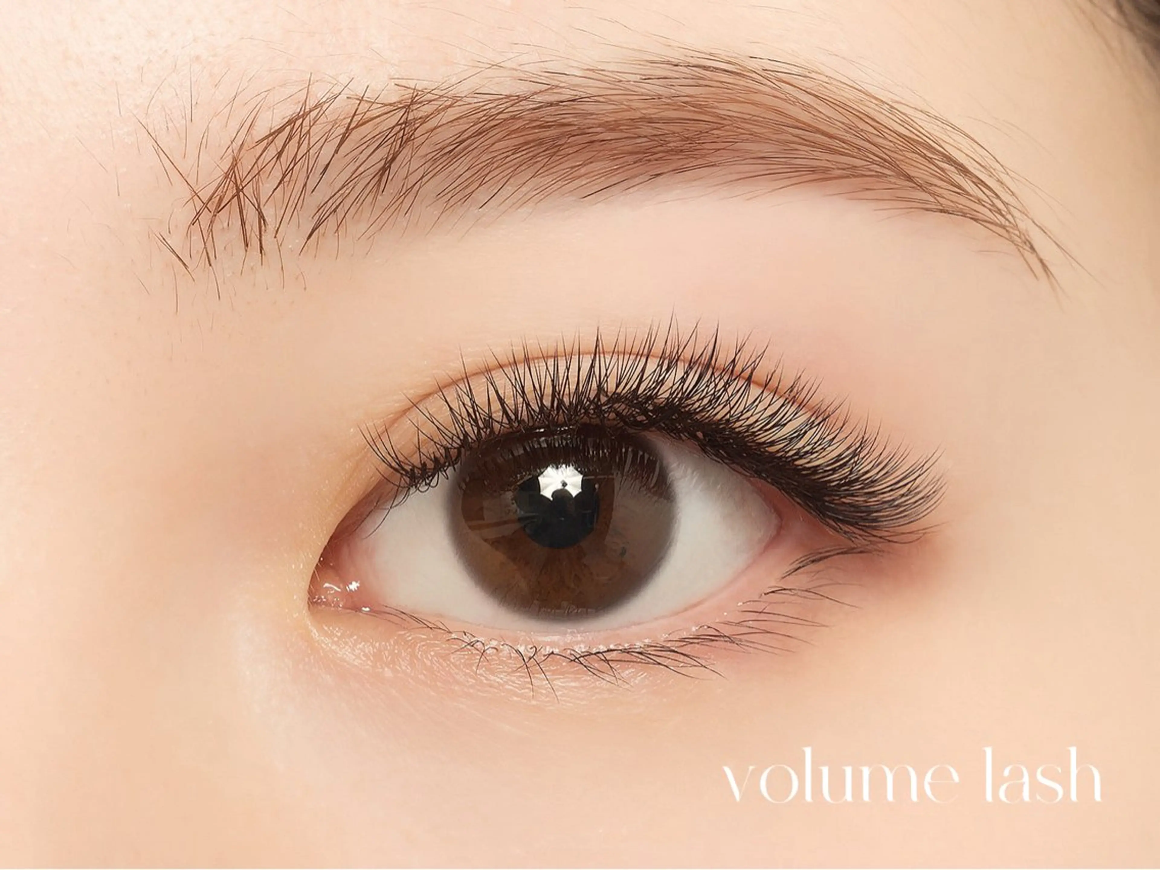 マツエク・マツパ ボリュームラッシュ マツエク ecru.eye 【元住吉】のマツエク・マツパデザイン