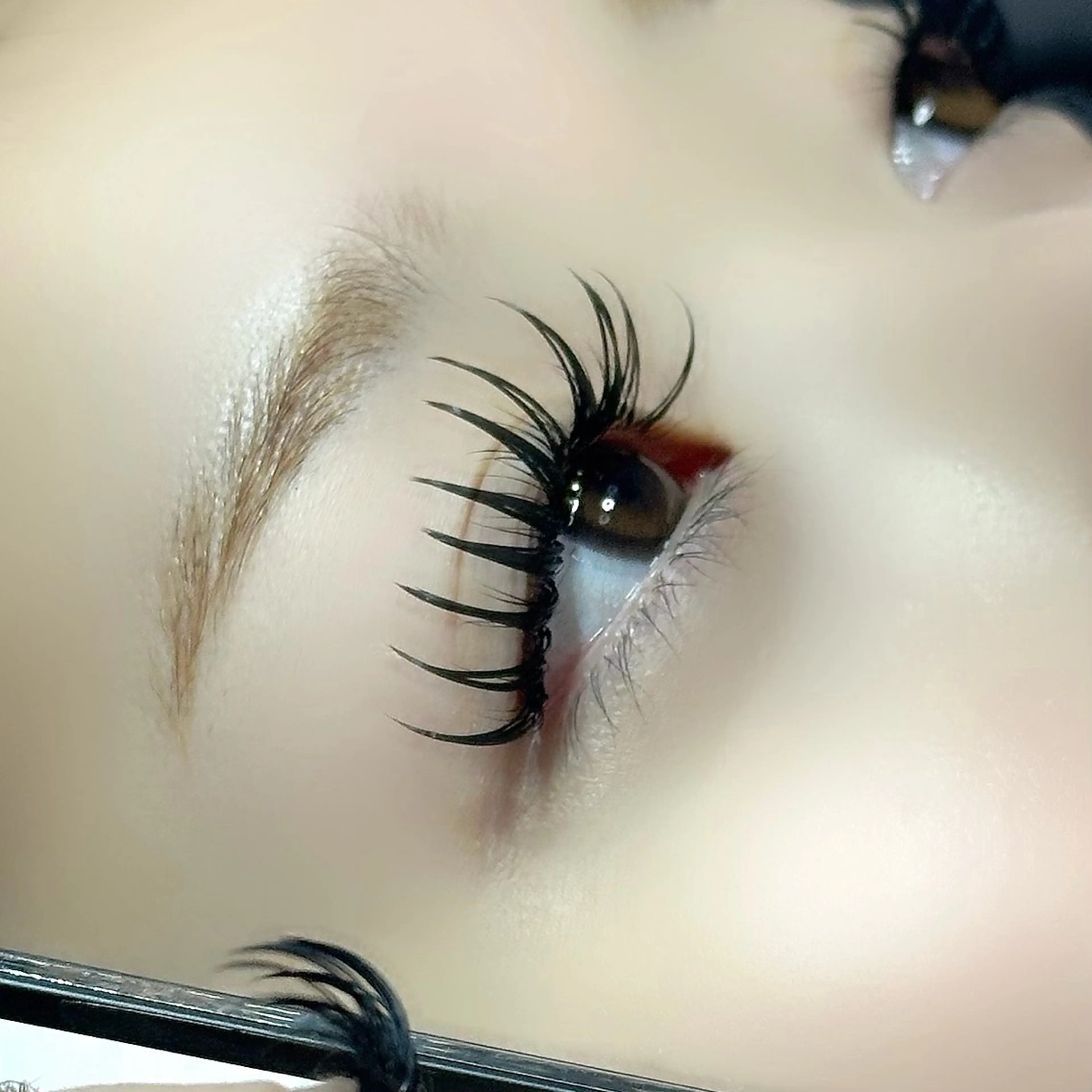 マツエク・マツパ マツエク ぷりゅねる心斎橋 /LED専門店のマツエク・マツパデザイン