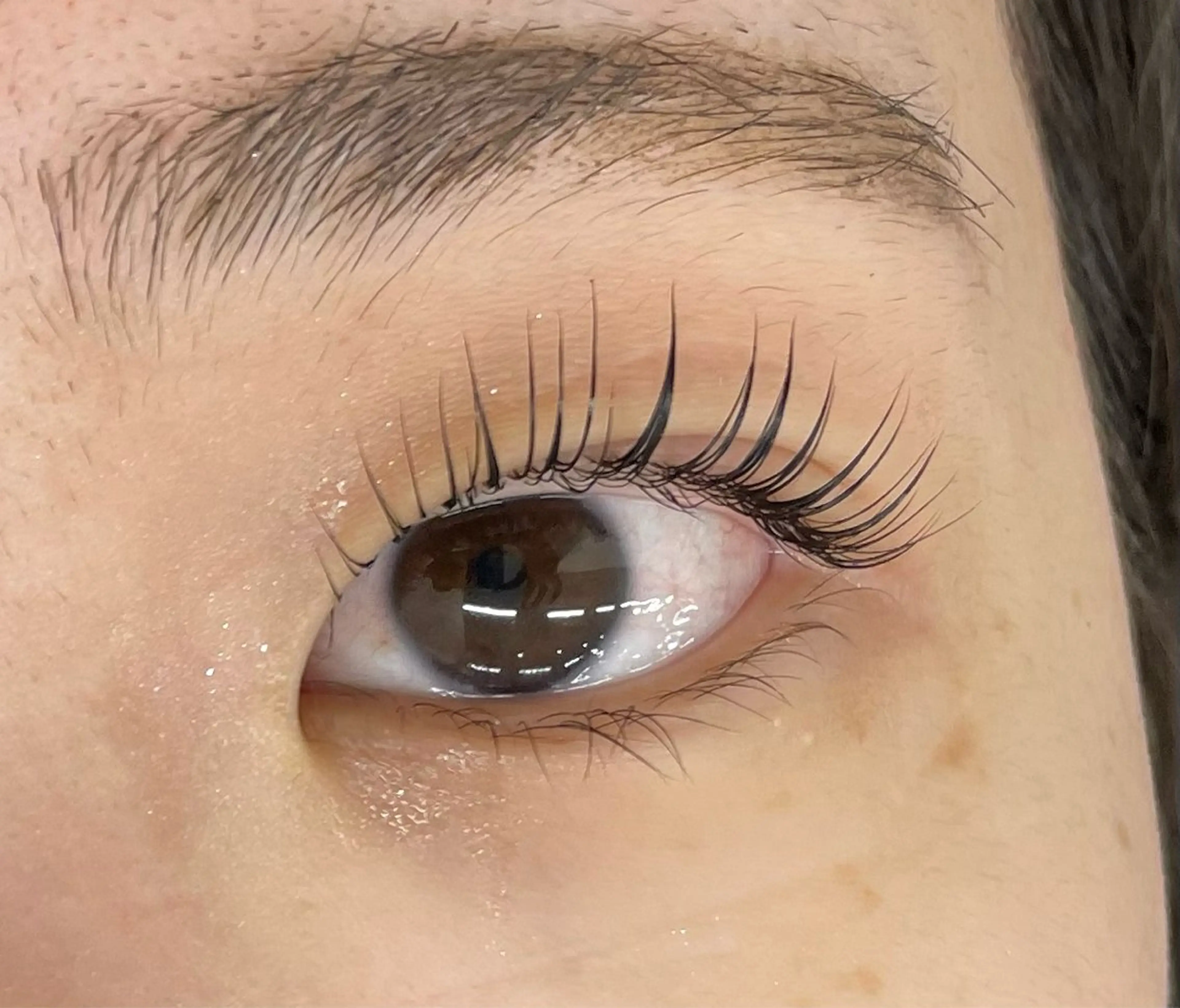 マツエク・マツパ マリーテレジア 🪻YUKAのマツエク・マツパデザイン