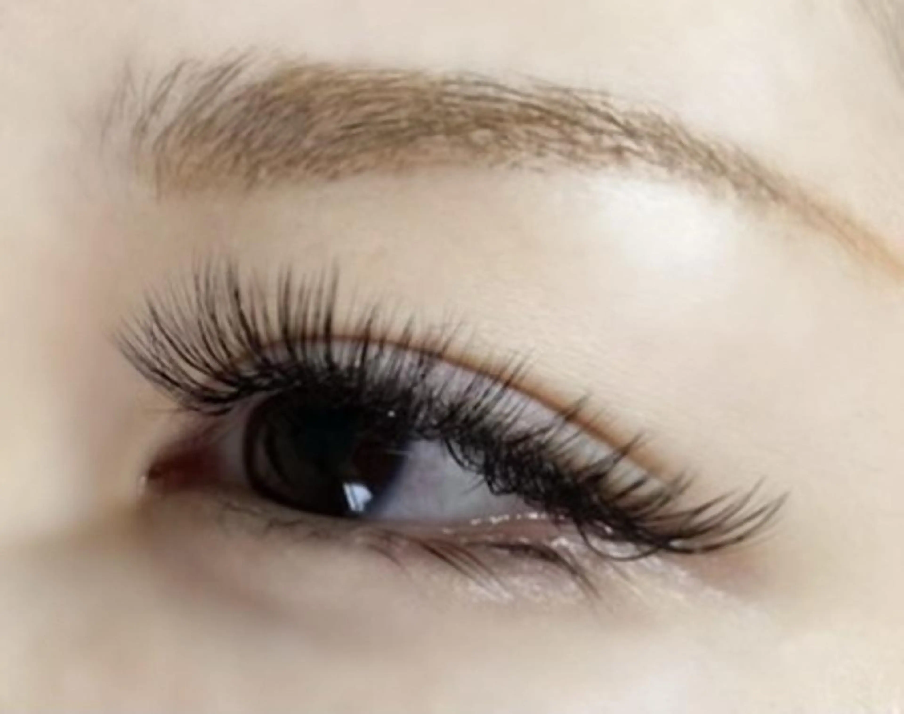 【リピーター様】ボリュームラッシュ 80束の写真