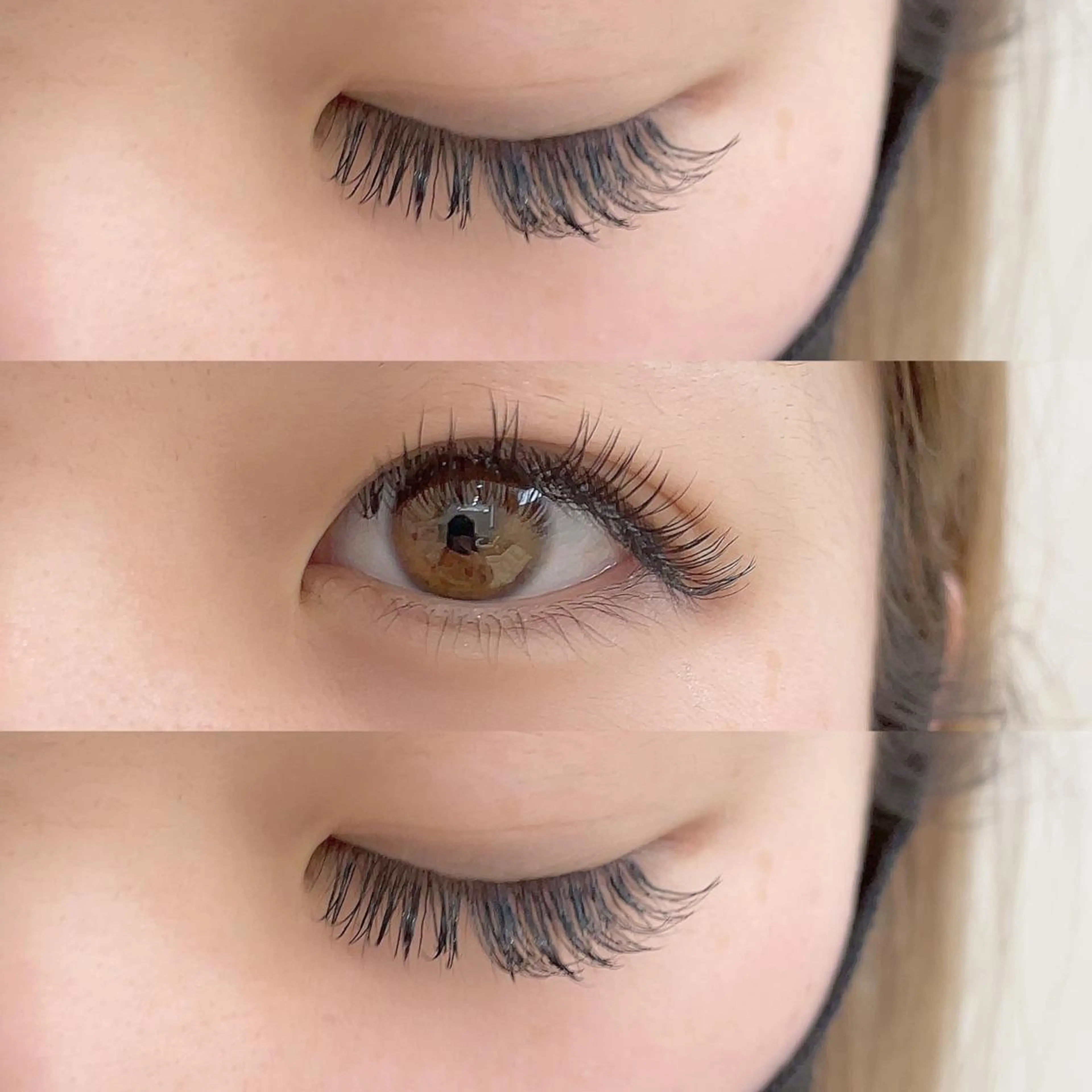 ご予約前に記載事項をお読み下さい🌱🌿 フラットマットラッシュつけ放題の写真