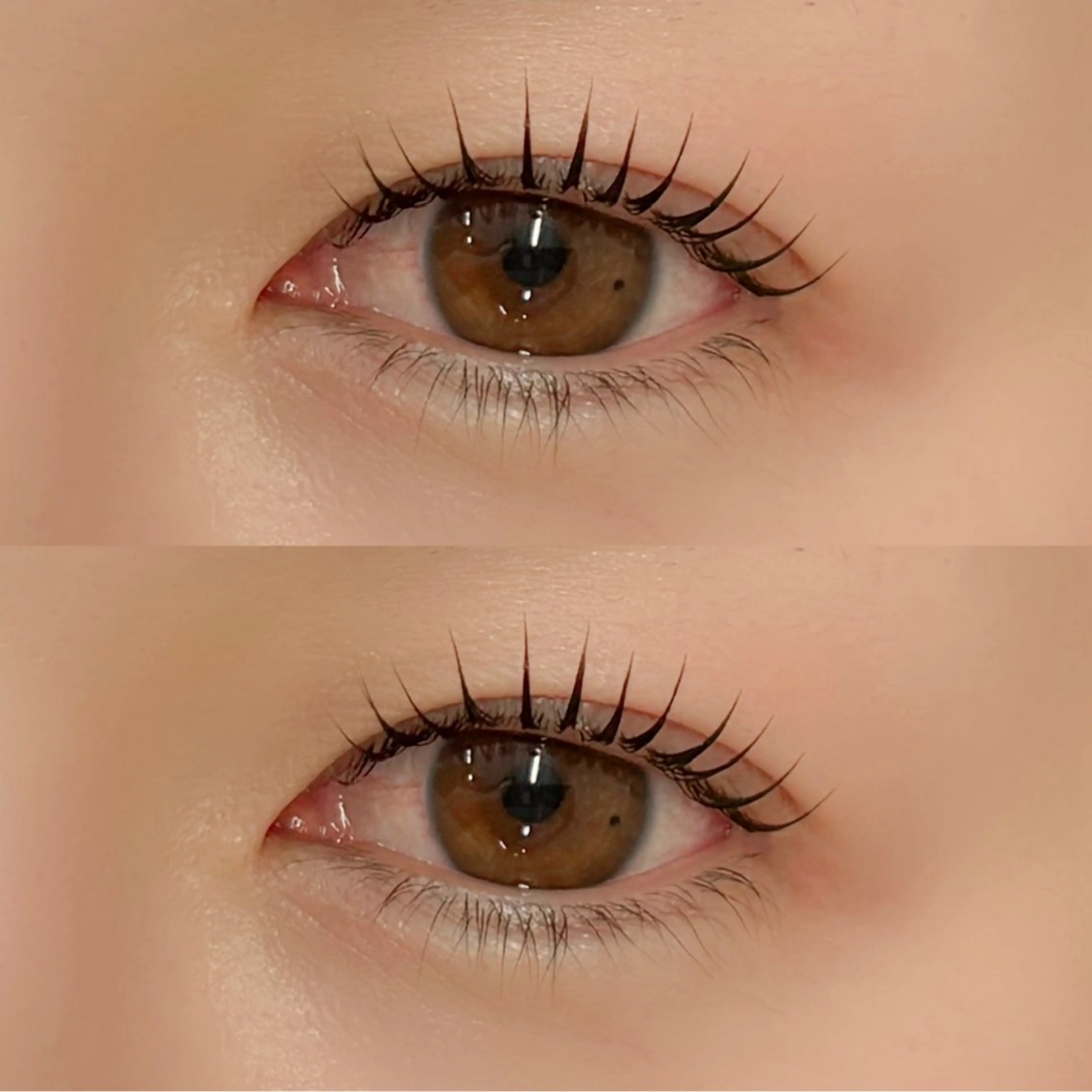 💛4/18限定！！まつげパーマ 15:00～の写真