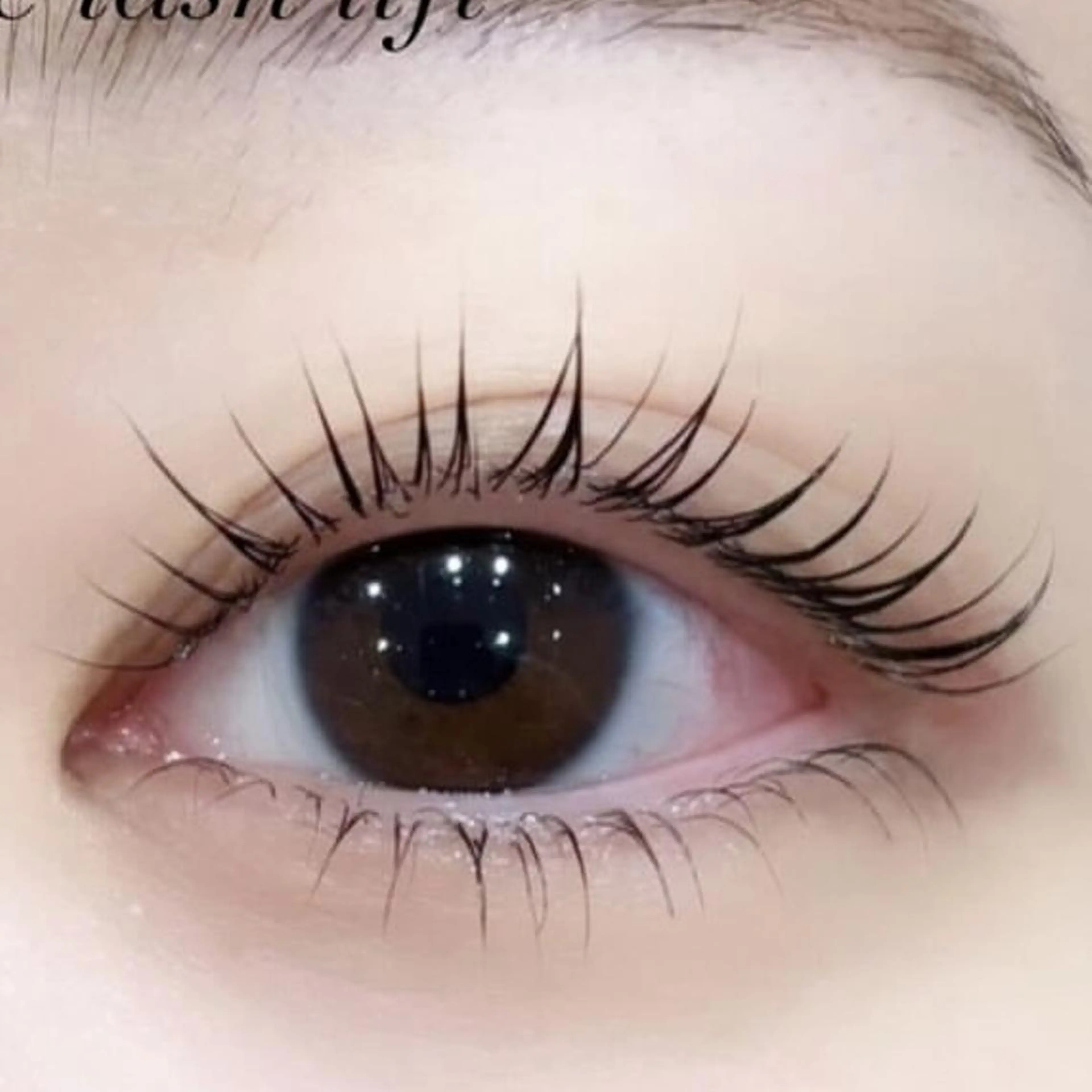 マツエク・マツパ ブリリアンス東京 銀座店のマツエク・マツパデザイン