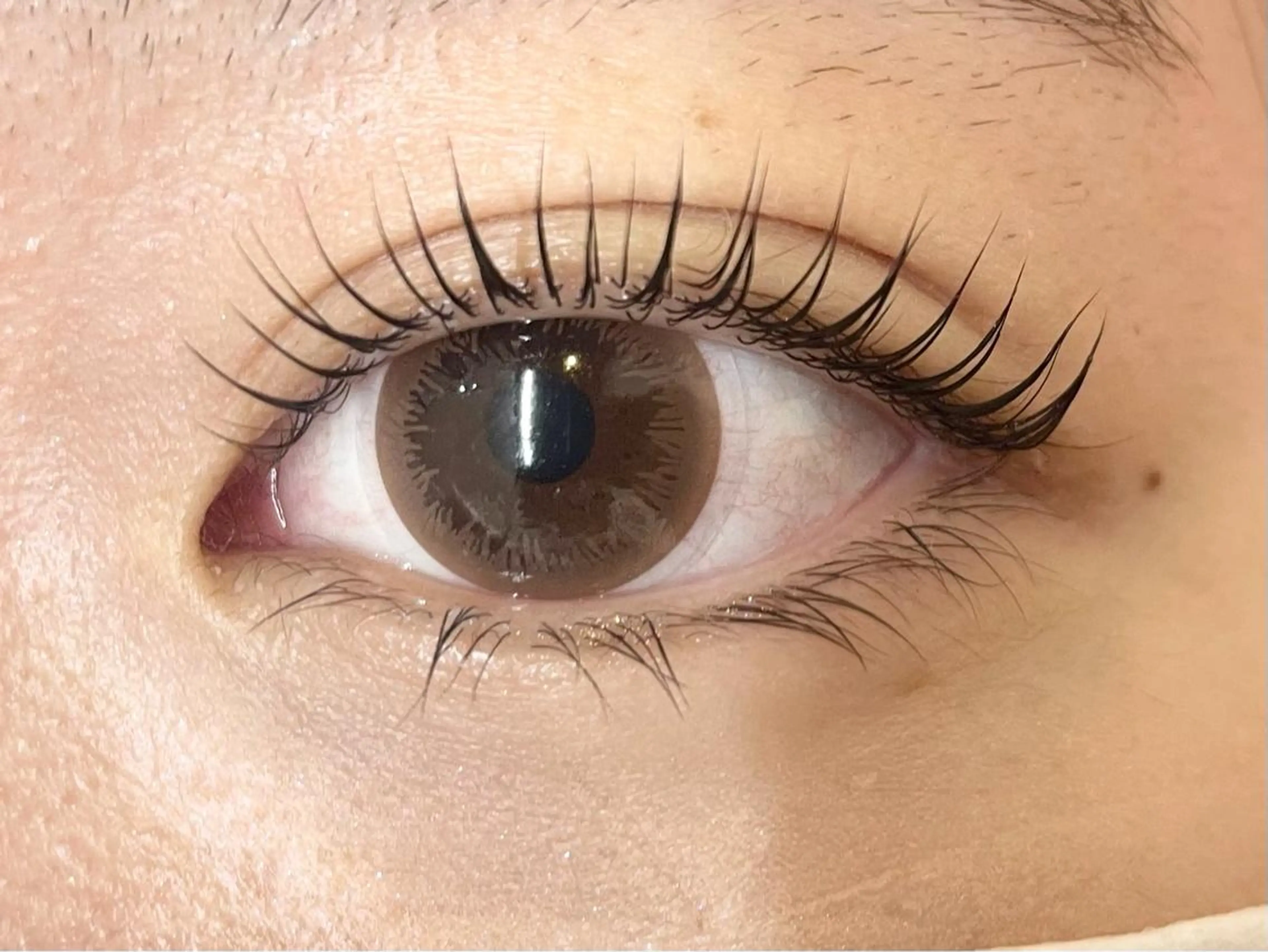 【ご新規様minimo限定】ラッシュリフト当店お初めての方限定の写真