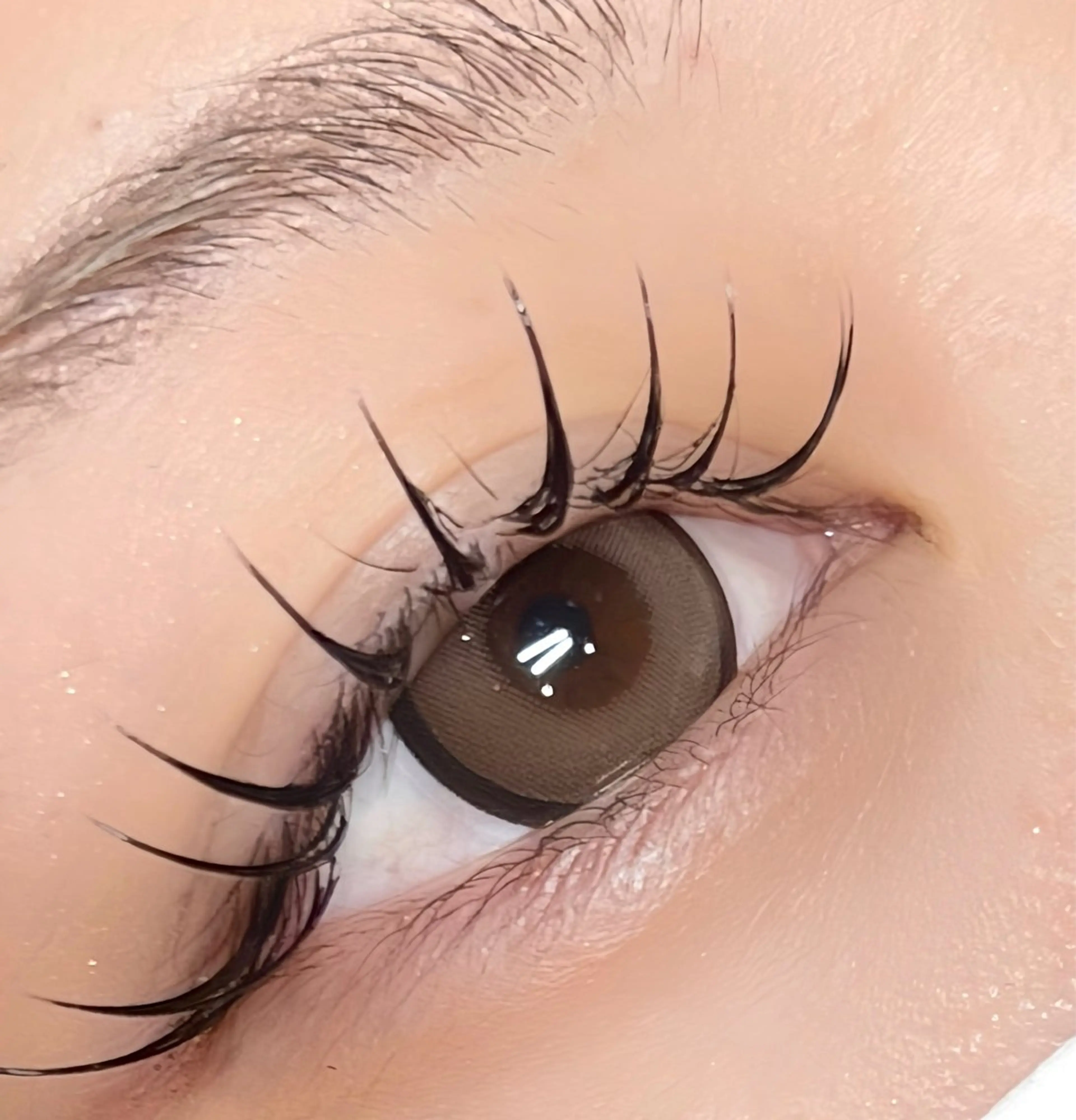 《フラットラッシュ付け放題》LED＋コーティング付き🎀の写真