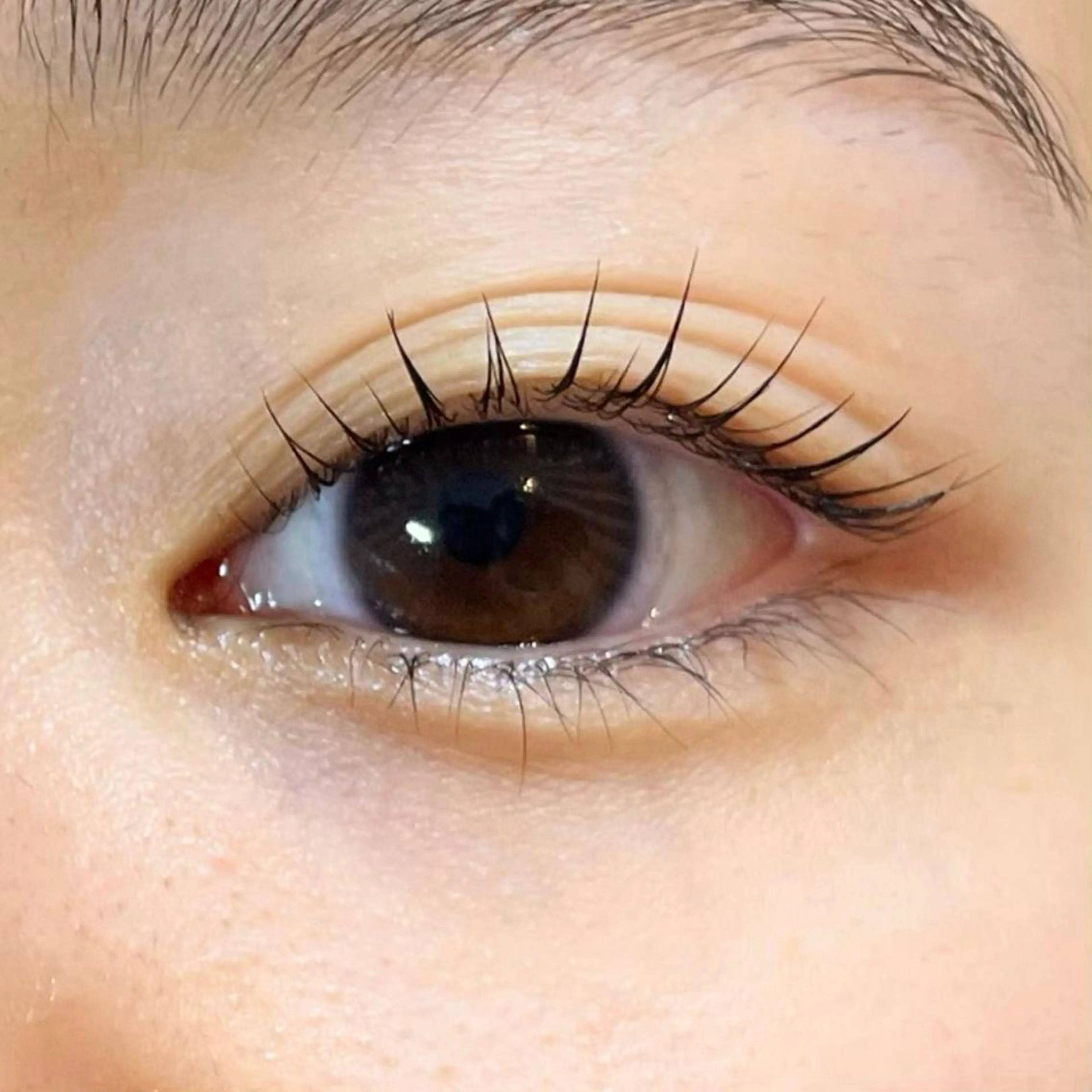 【下まつげのケラチンラッシュリフト🤍 ̖́-】の写真