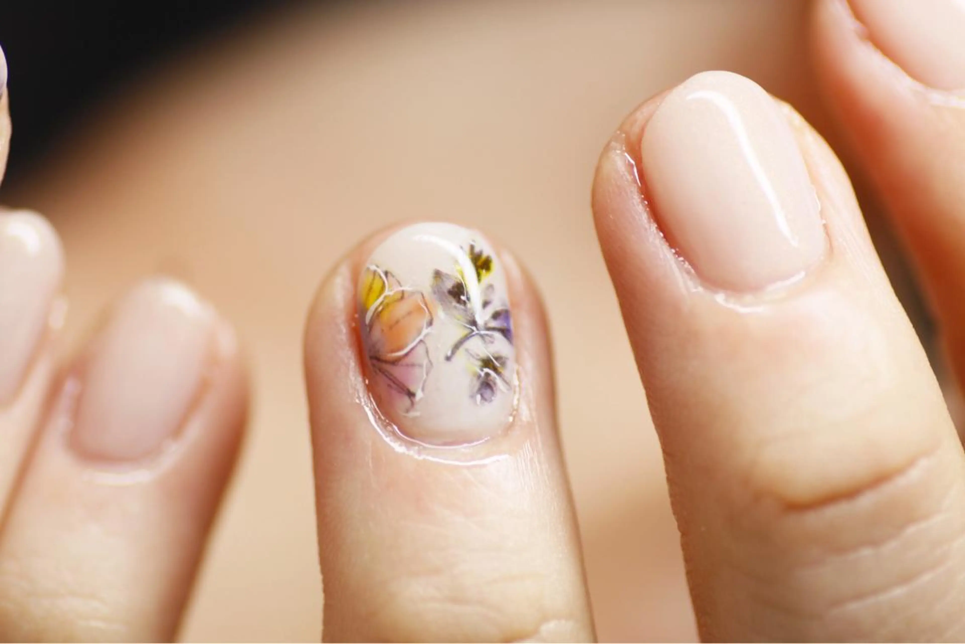 ネイル アートネイル フラワーネイル ワンカラーネイル atelier nife.のネイルデザイン