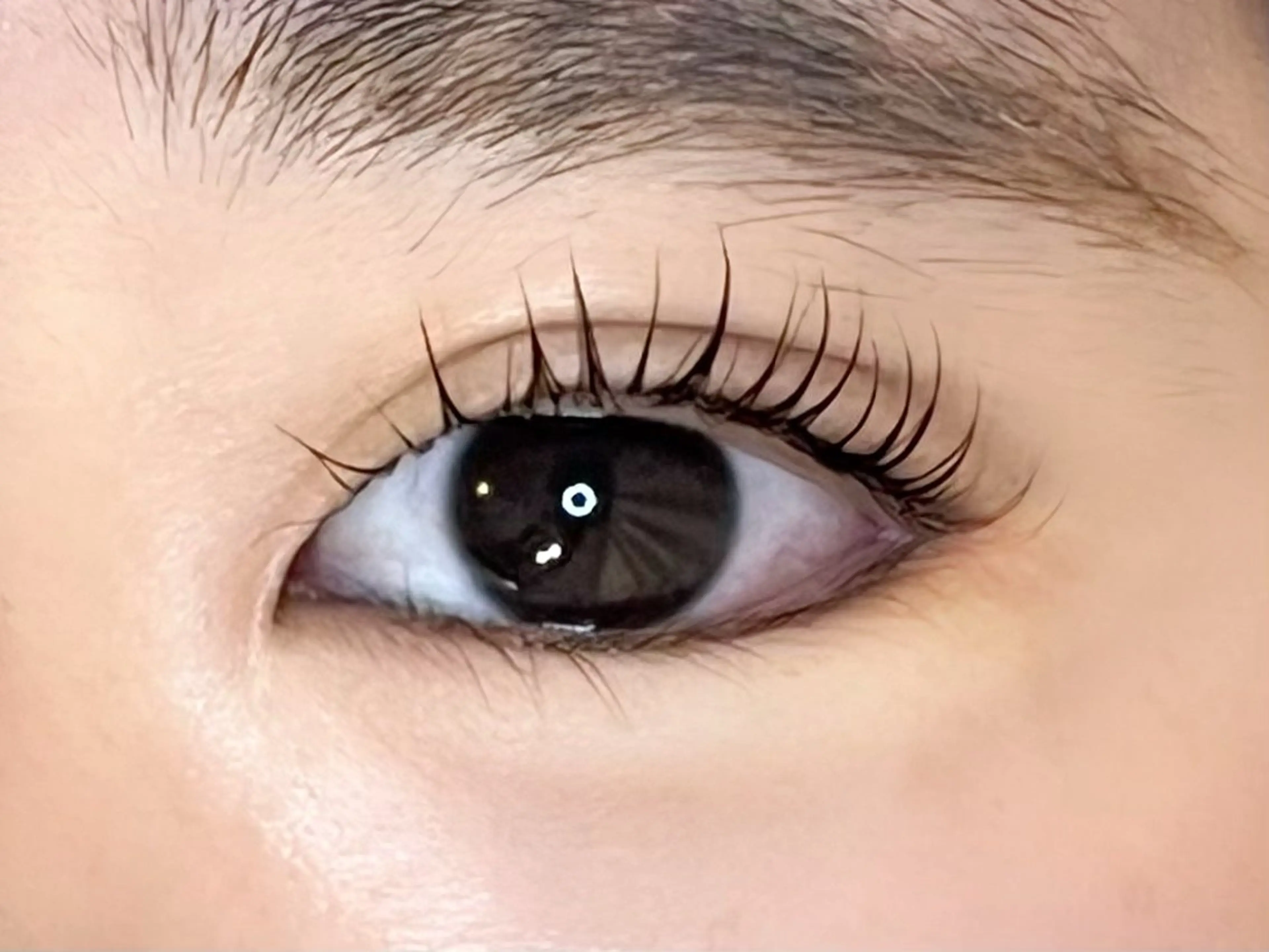 マツエク・マツパ Honey&Miel YUI🐱🐾のマツエク・マツパデザイン