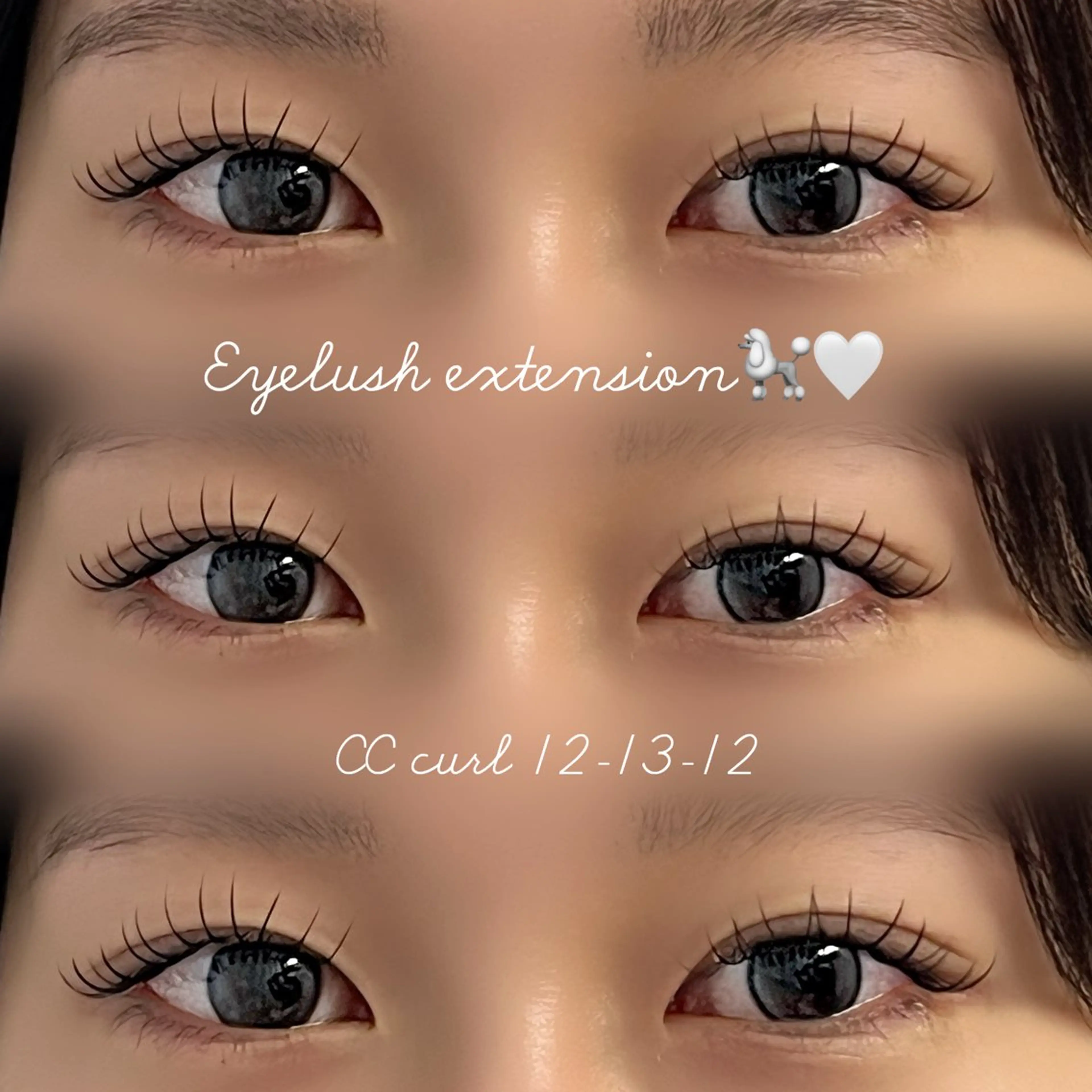 フラットラッシュ120本🪶(オフなし)の写真